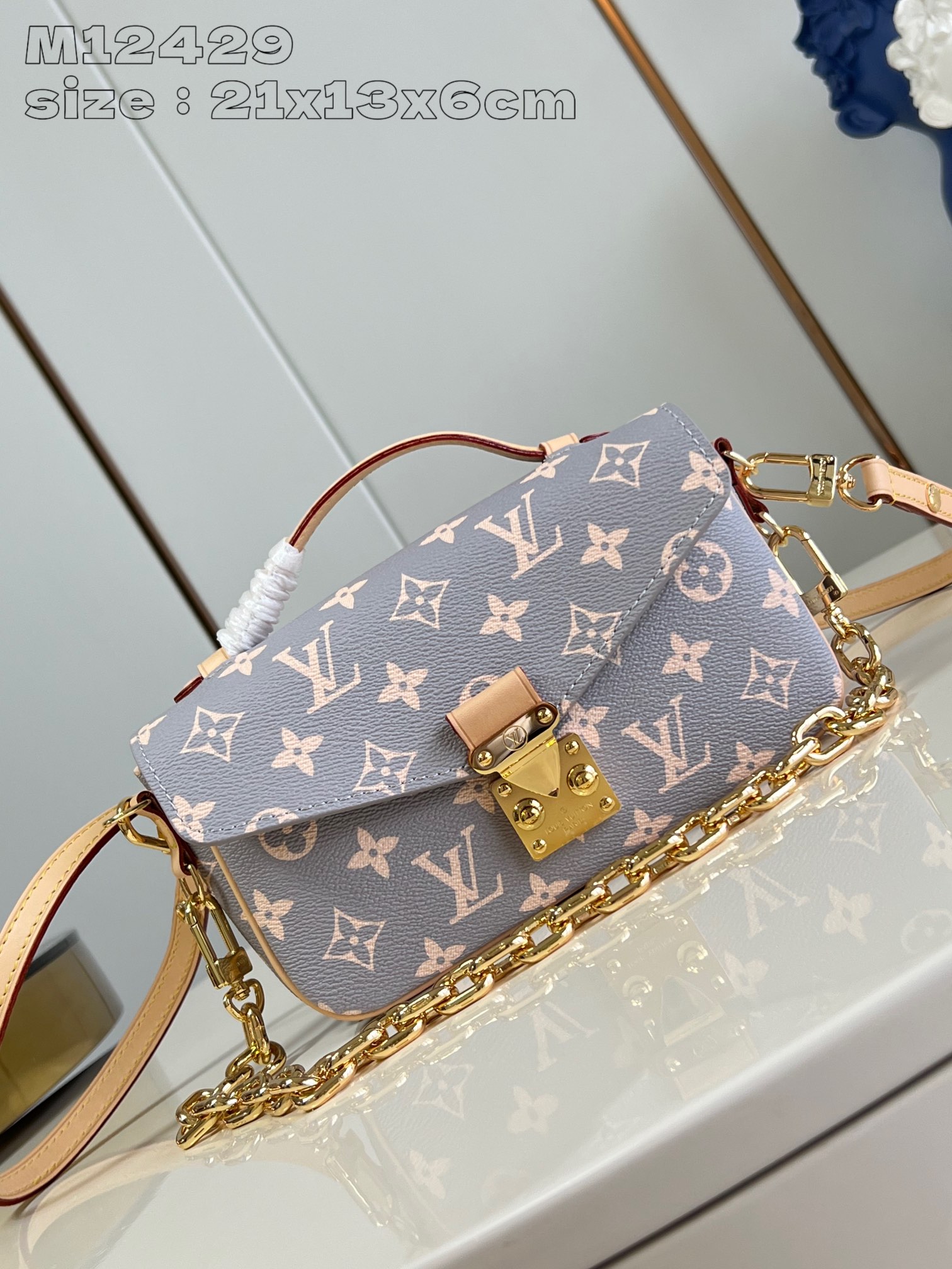 LV Bag