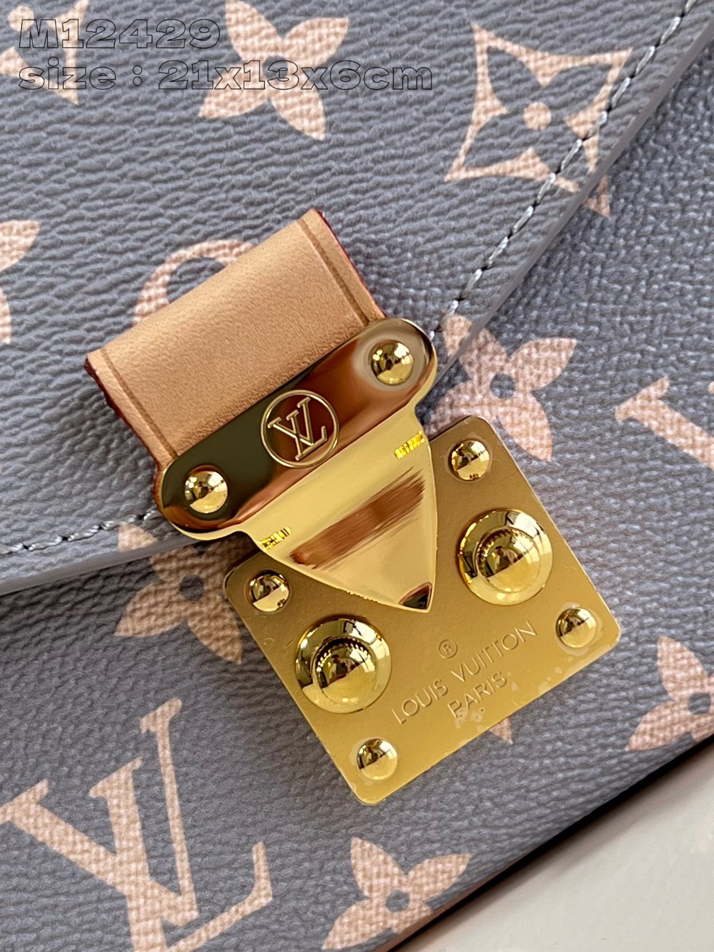 LV Bag