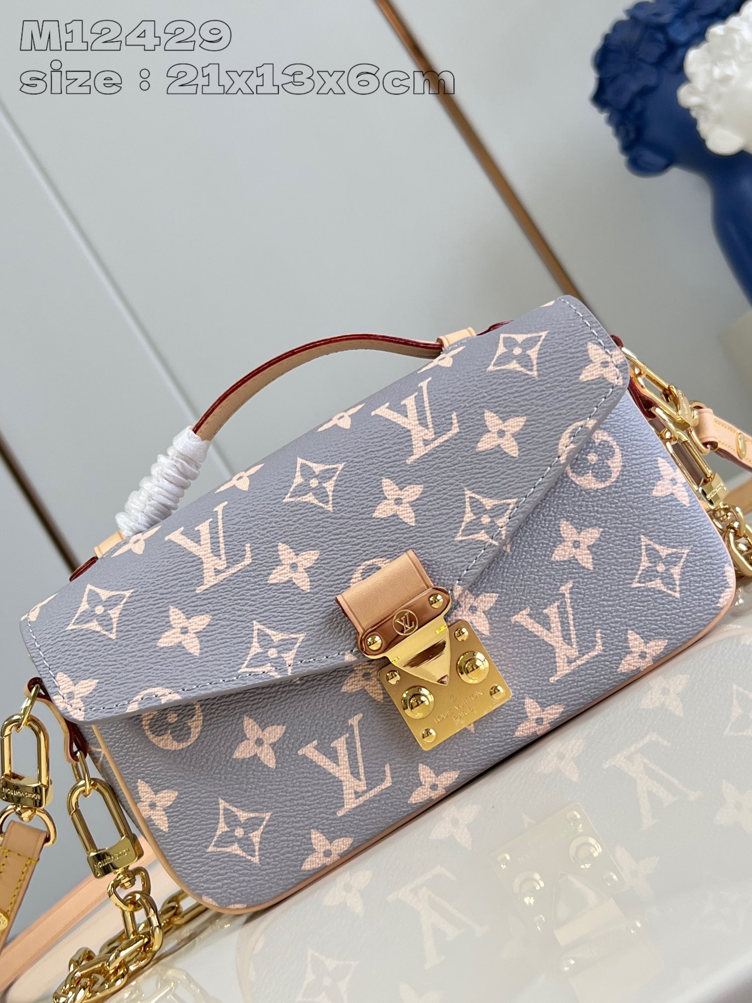 LV Bag
