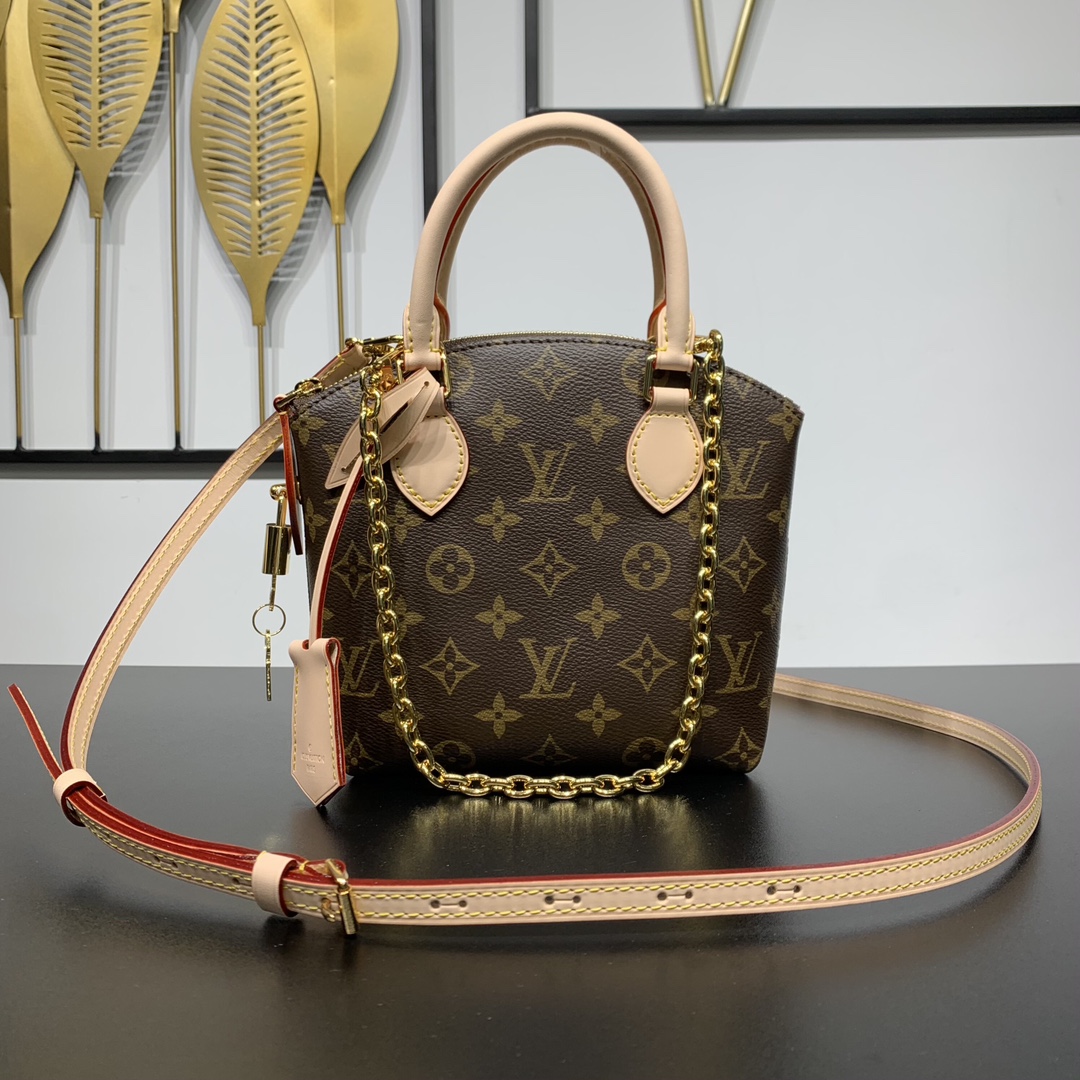 LV Bag
