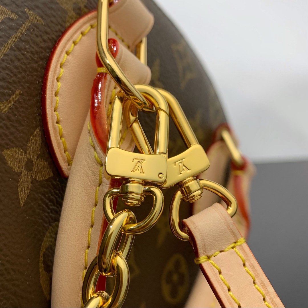 LV Bag