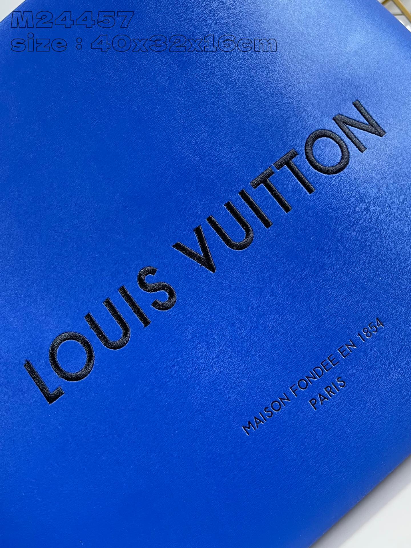 LV Bag