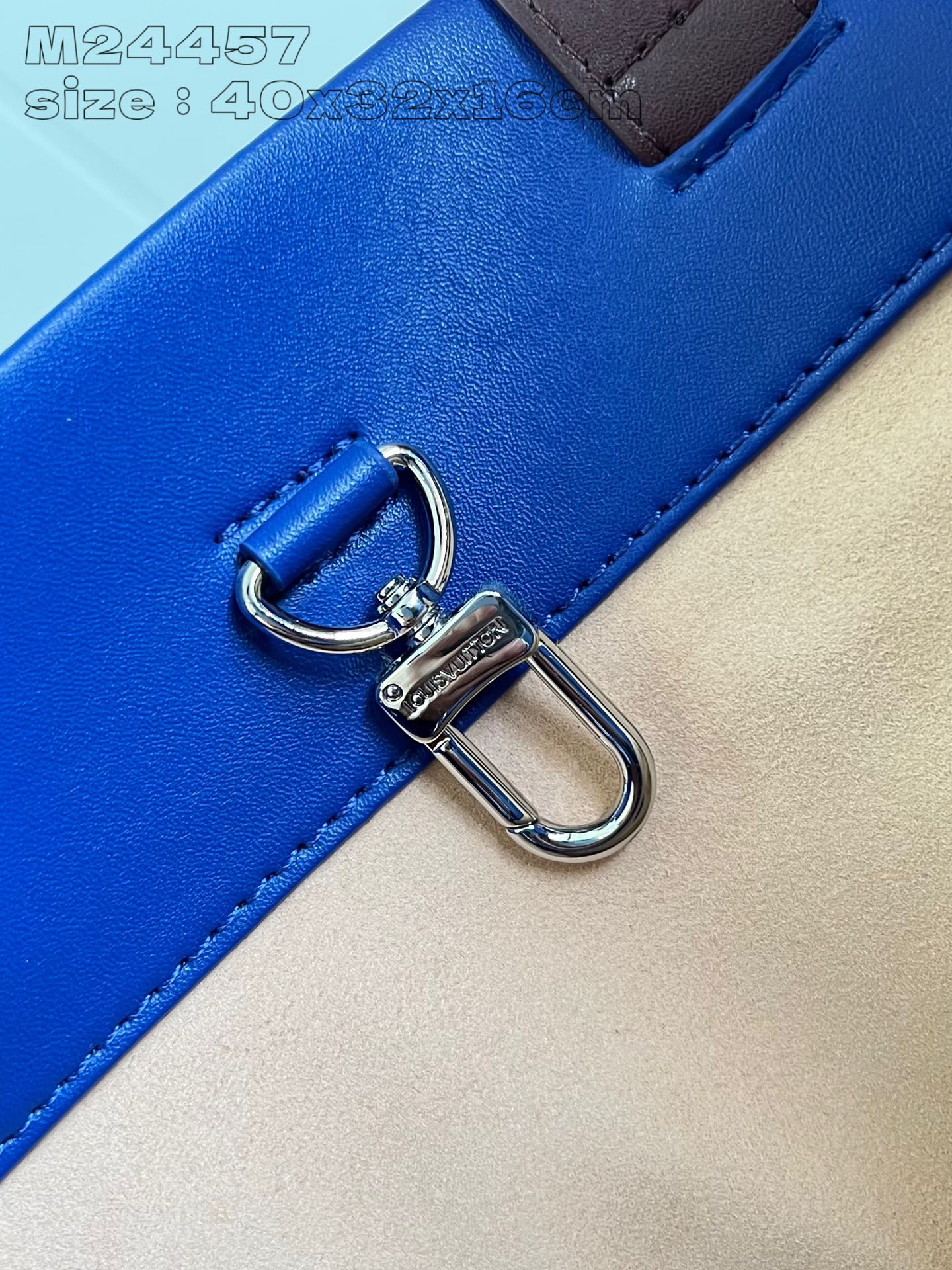 LV Bag