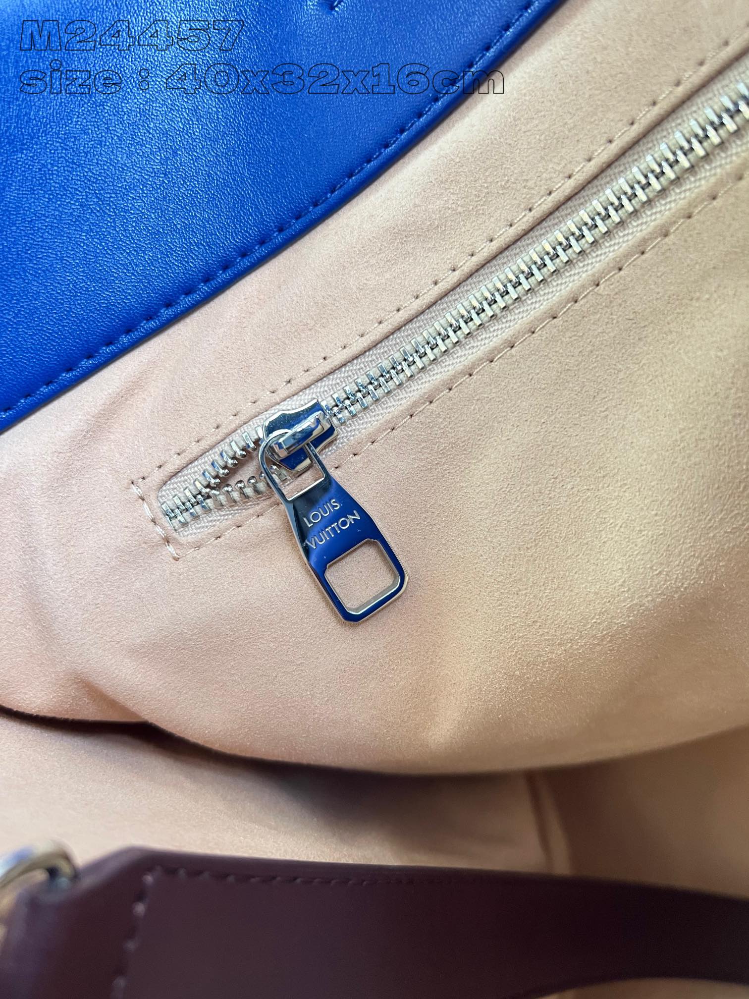 LV Bag