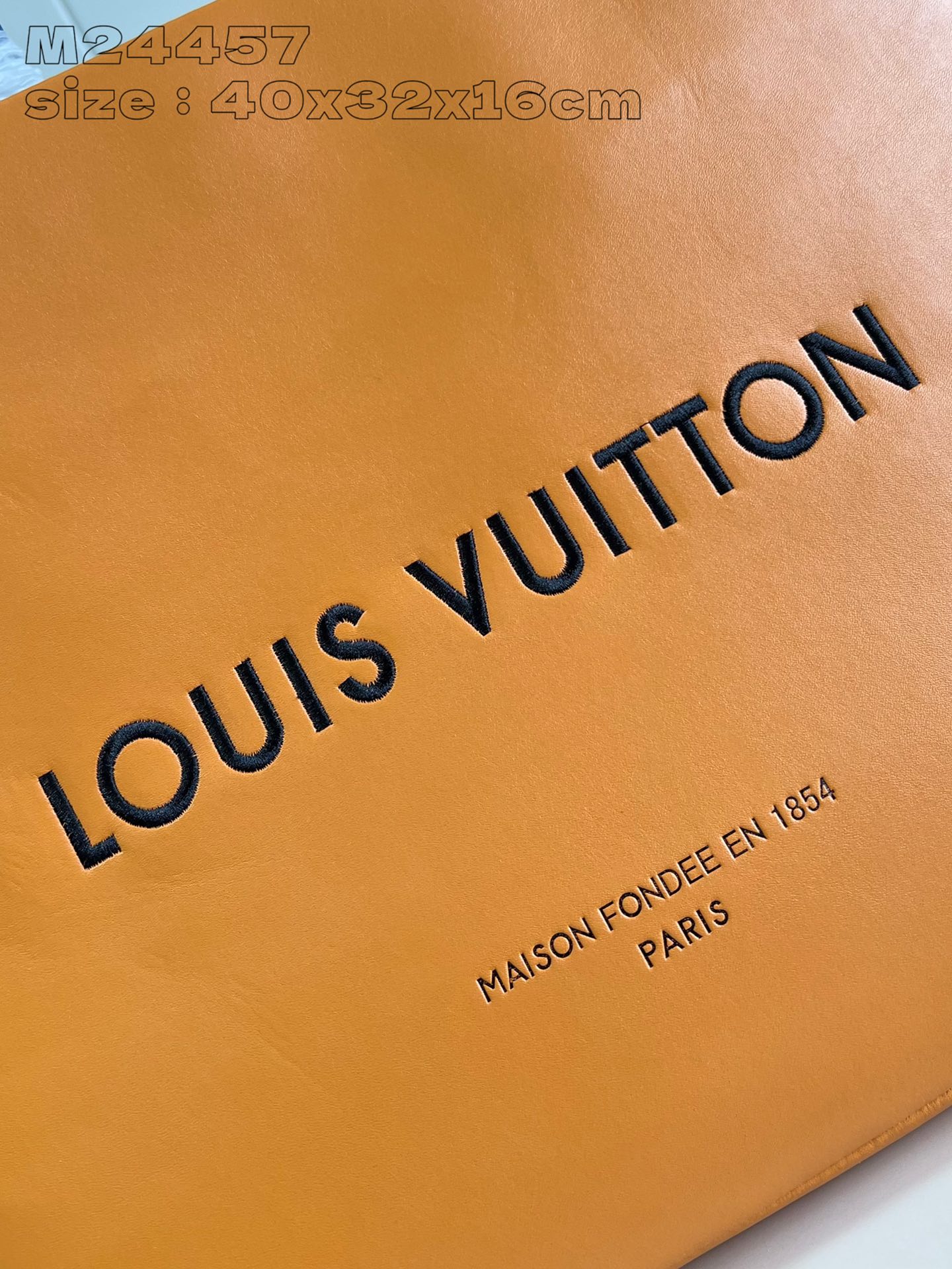 LV Bag