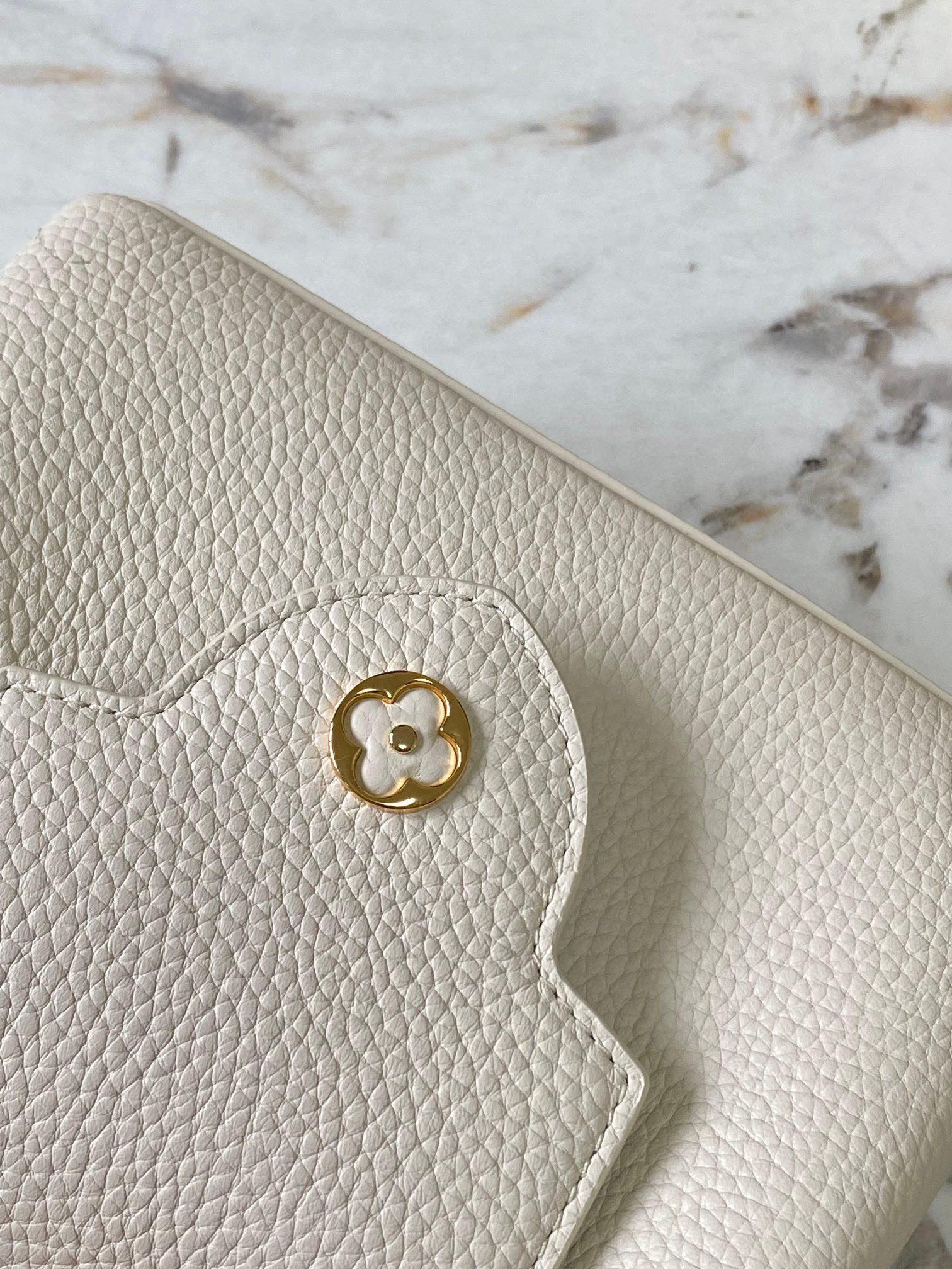 LV Bag