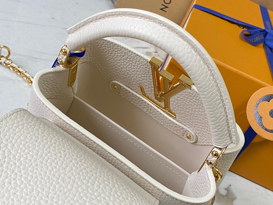 LV Bag
