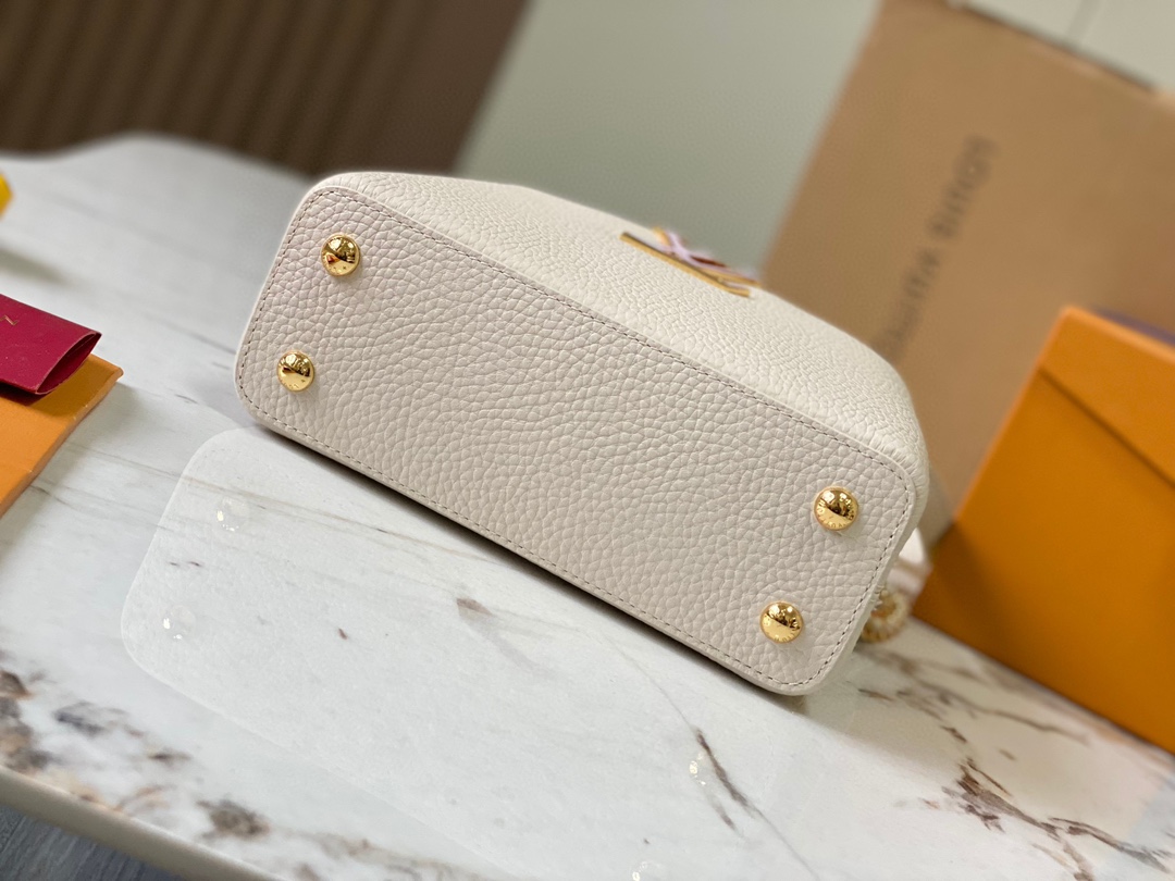LV Bag