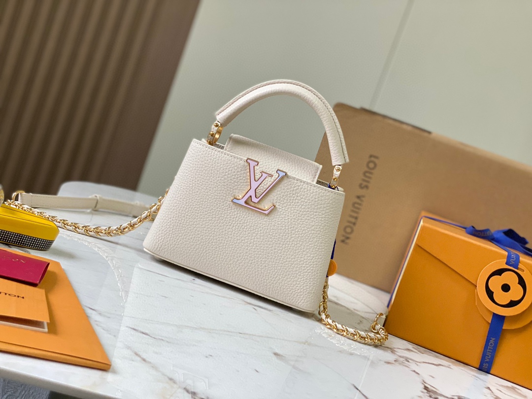 LV Bag