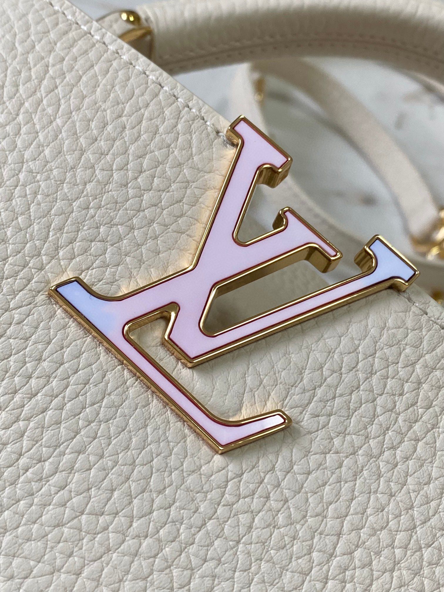 LV Bag