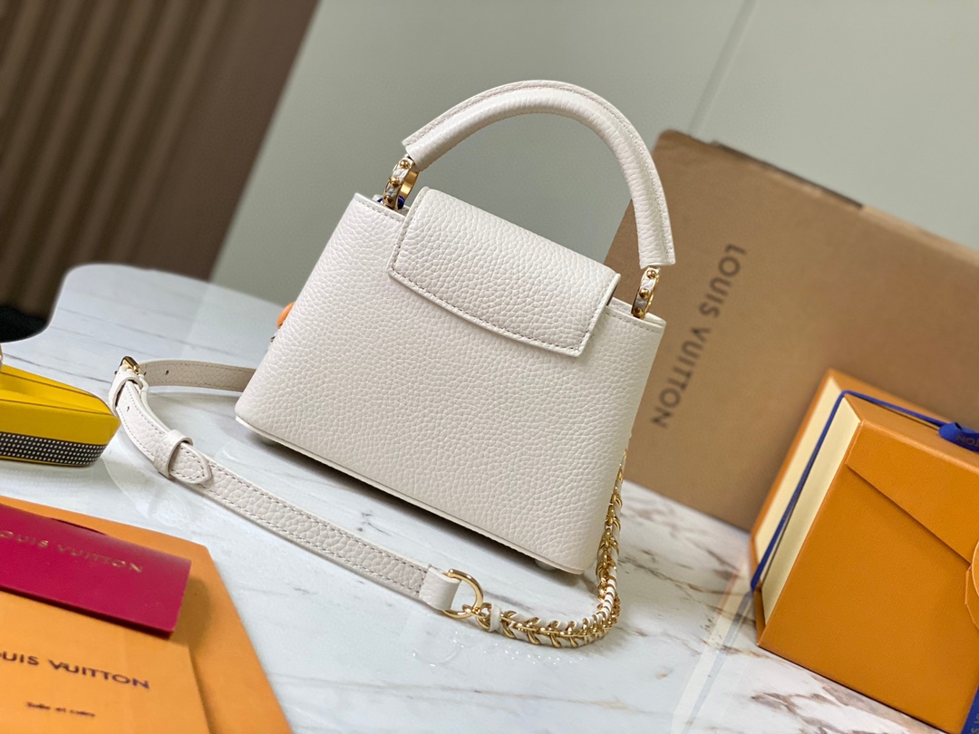LV Bag