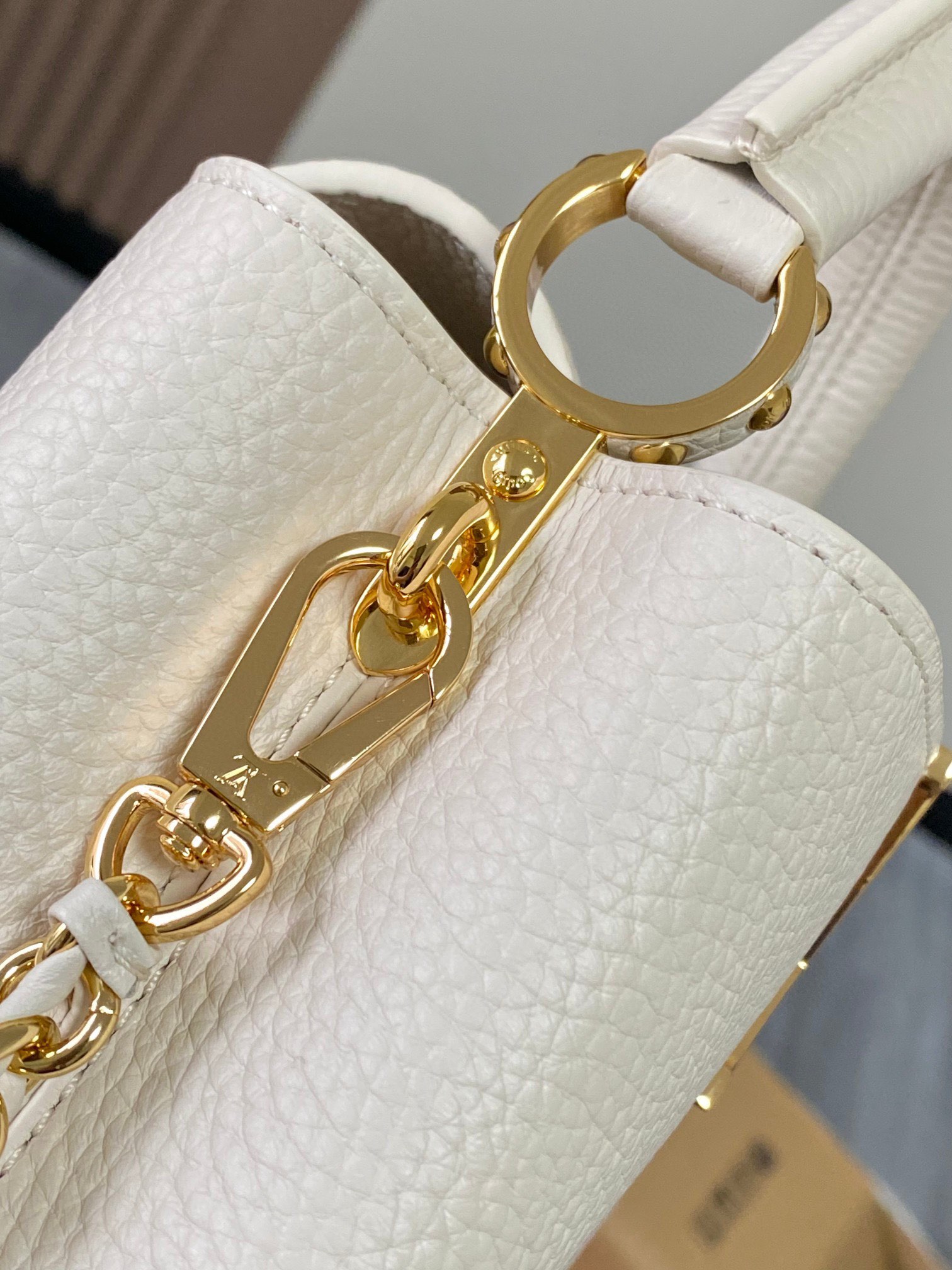 LV Bag