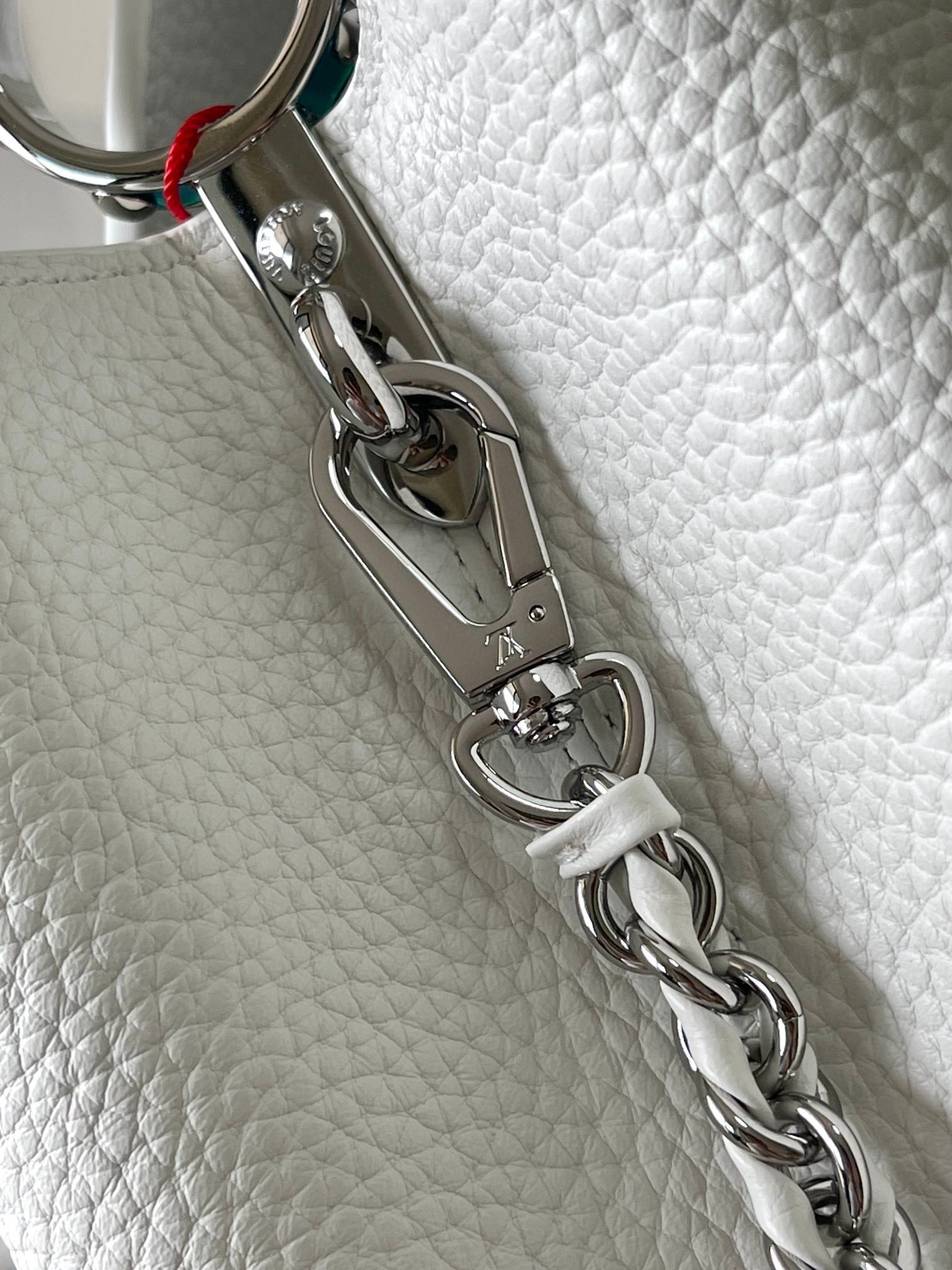 LV Bag