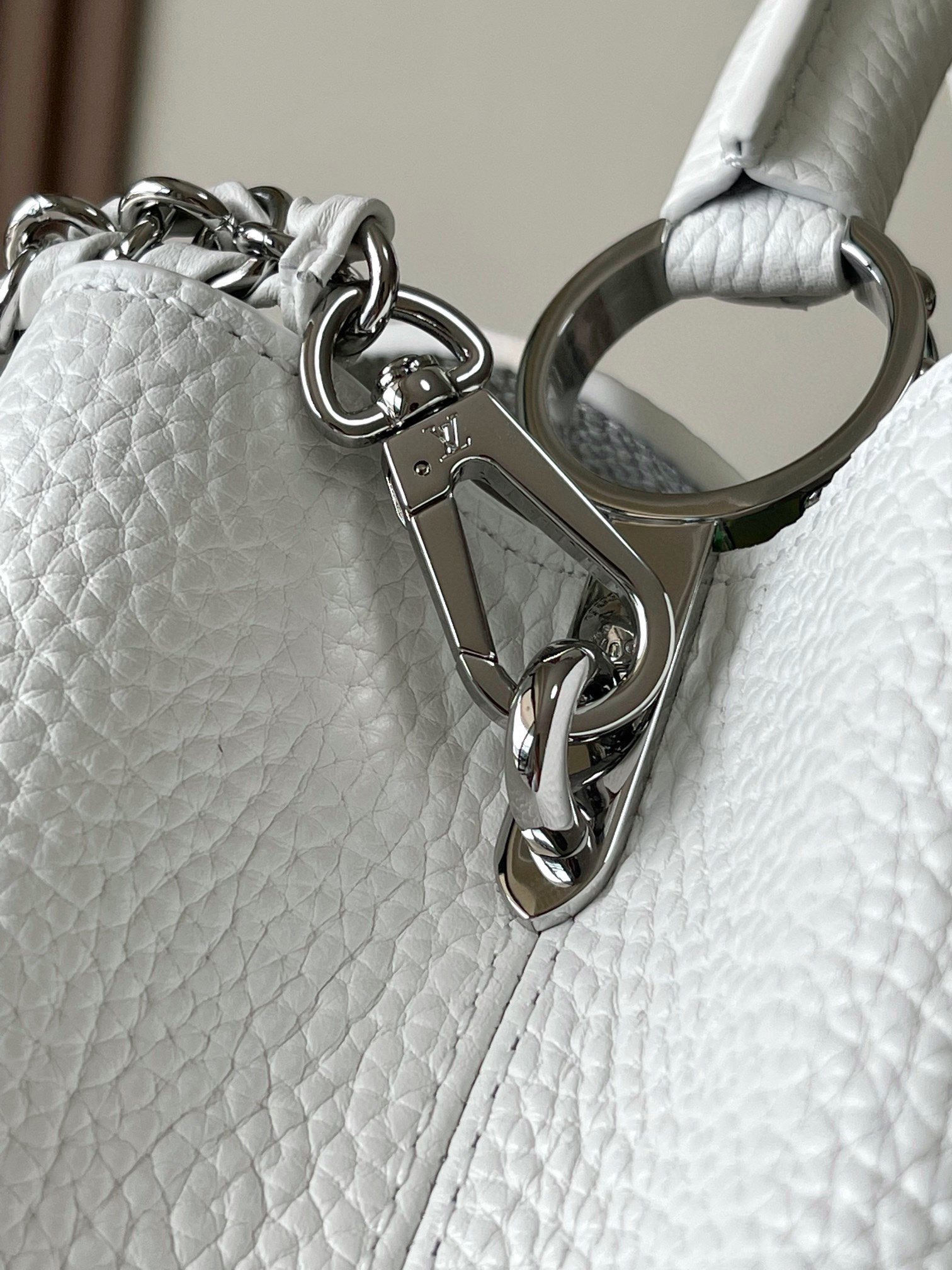LV Bag