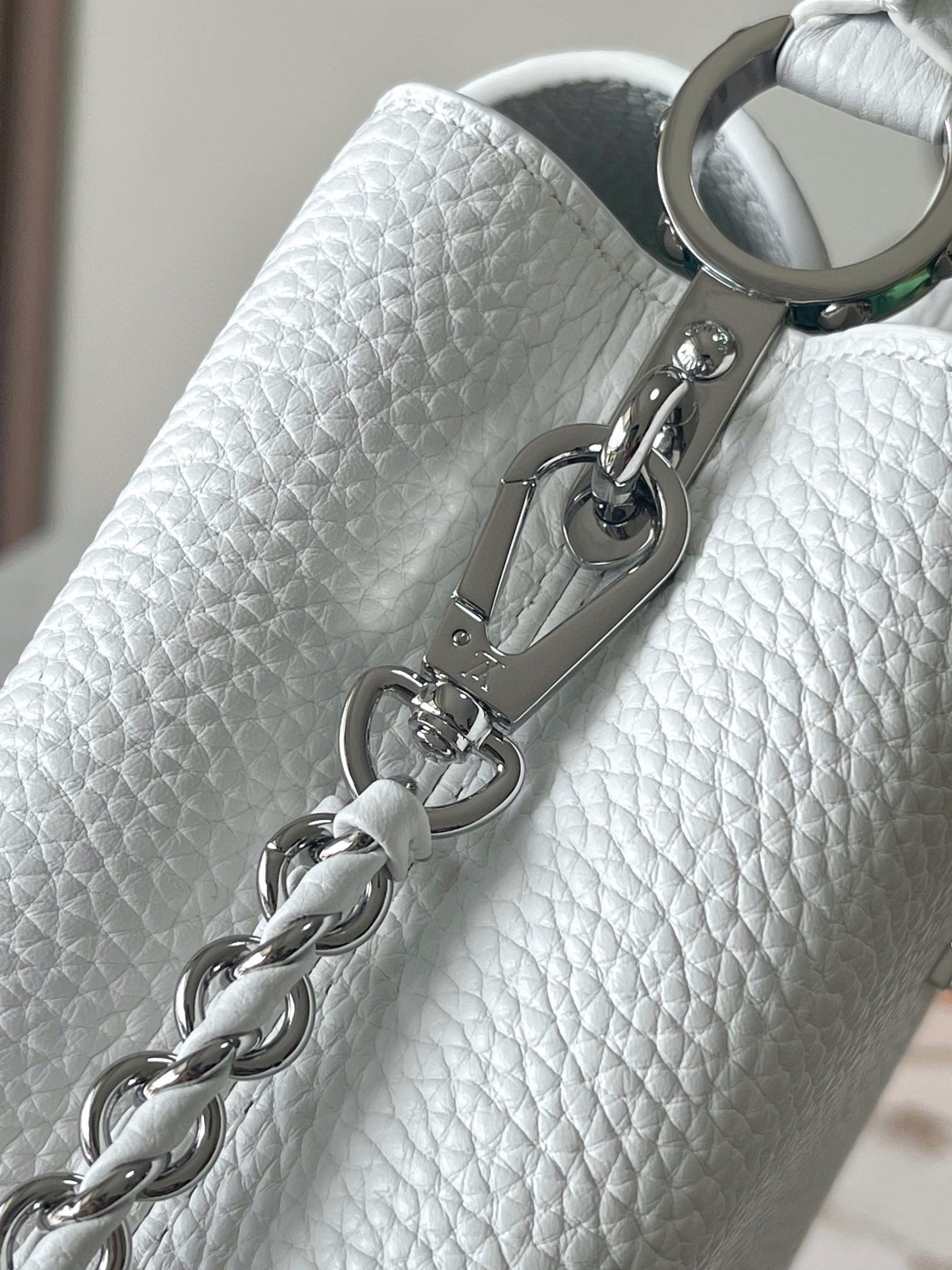 LV Bag
