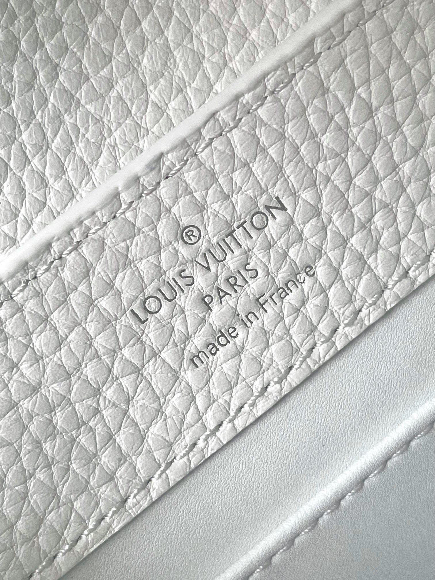 LV Bag