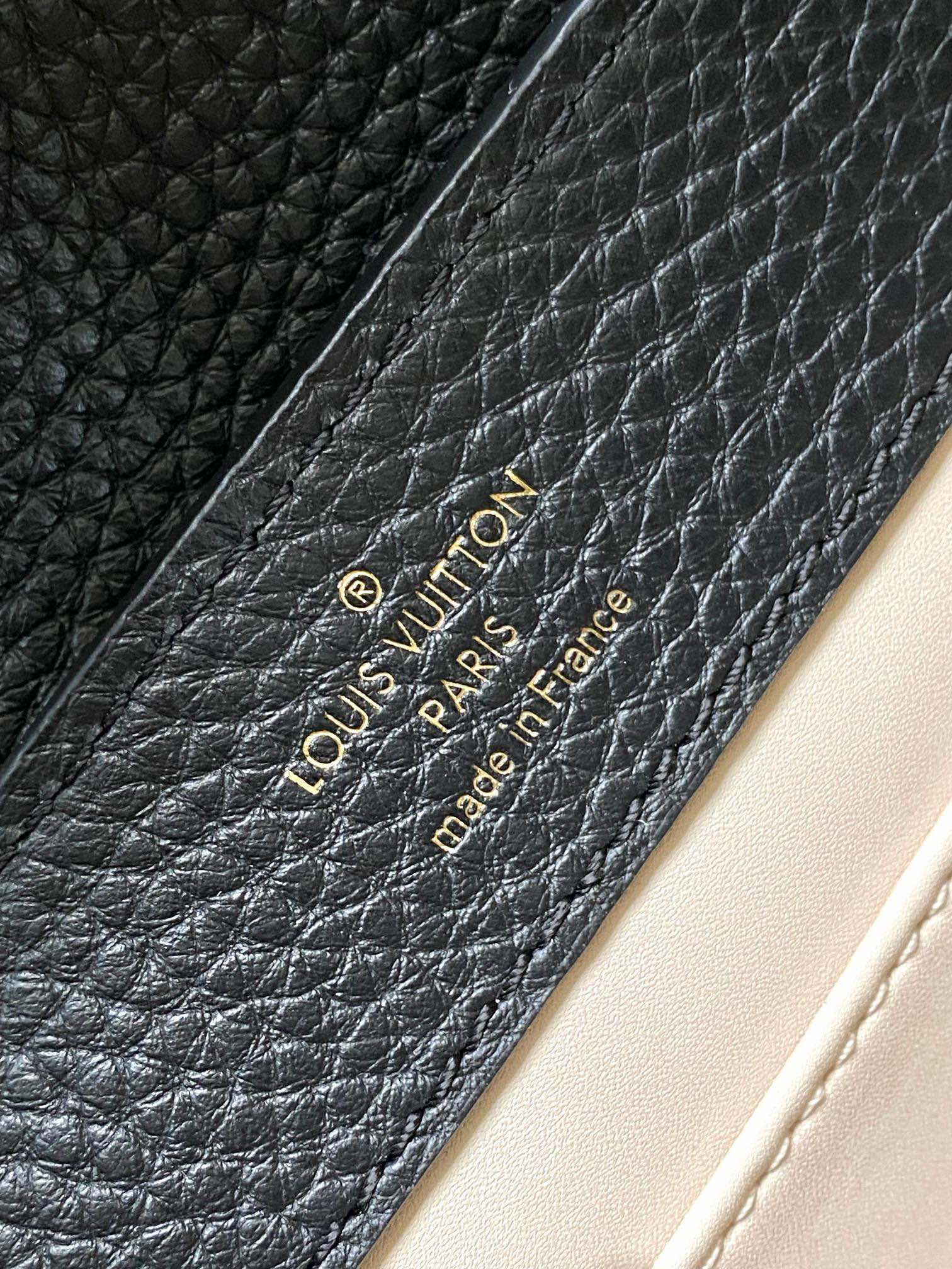 LV Bag