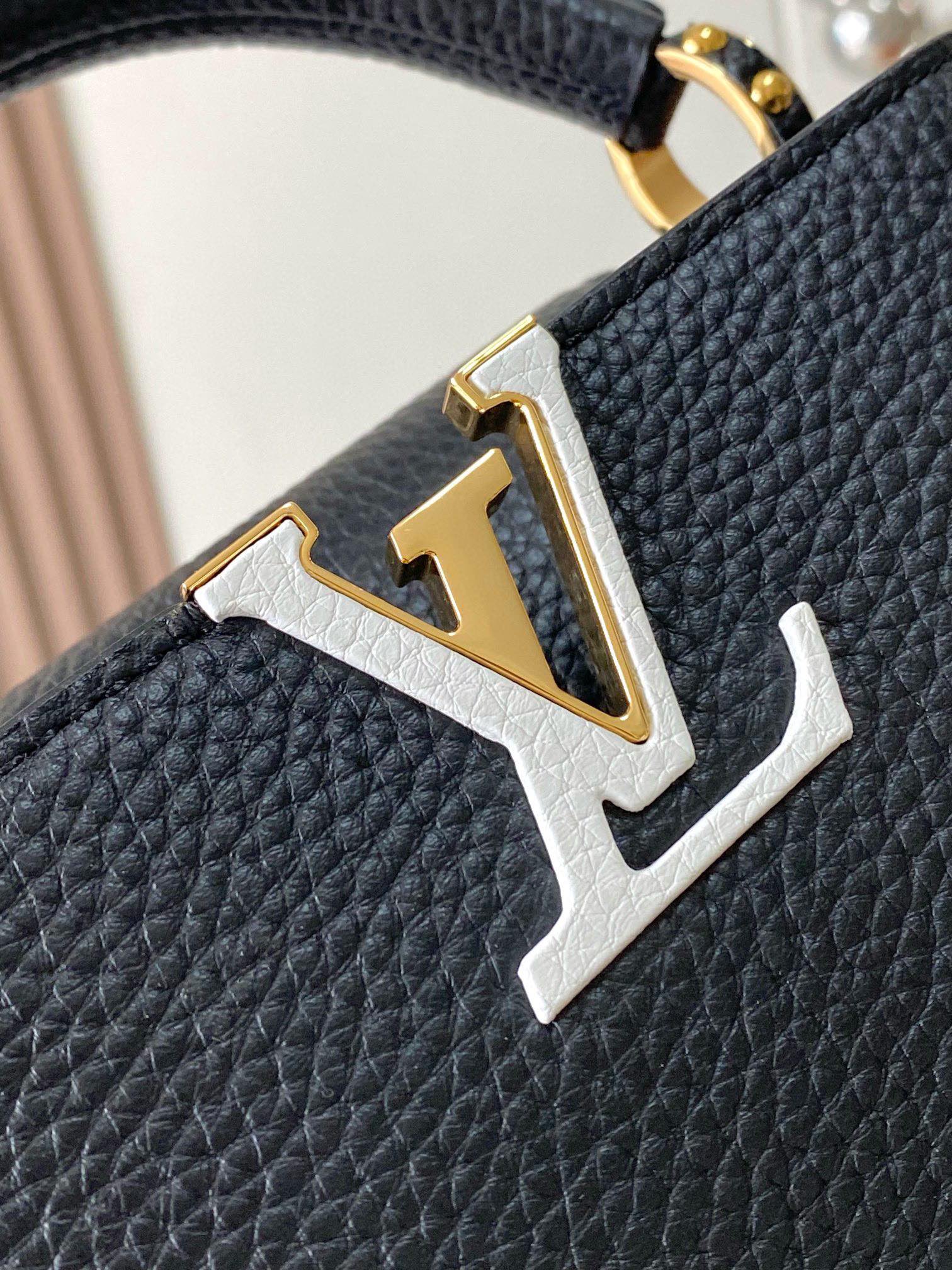 LV Bag