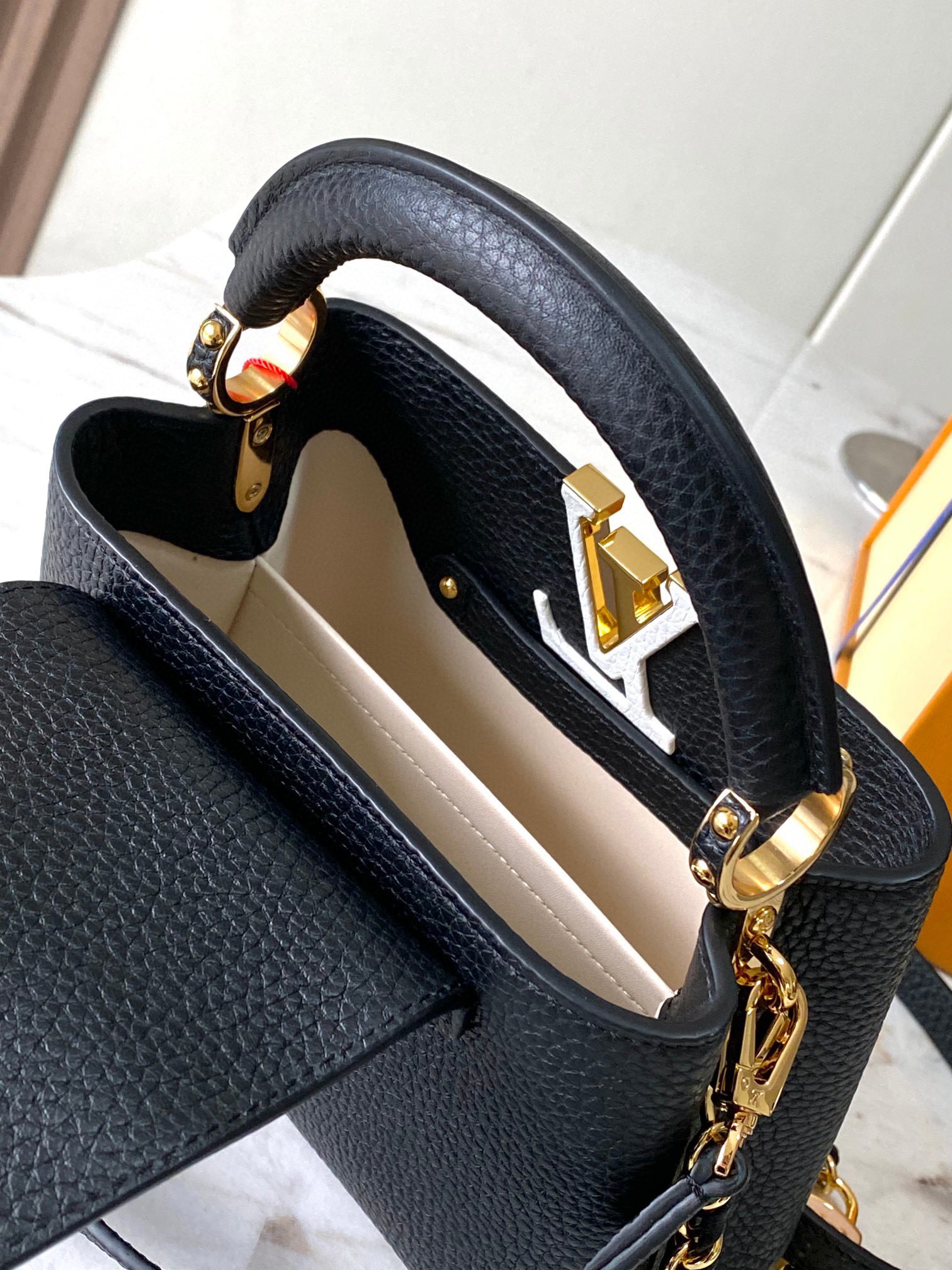 LV Bag