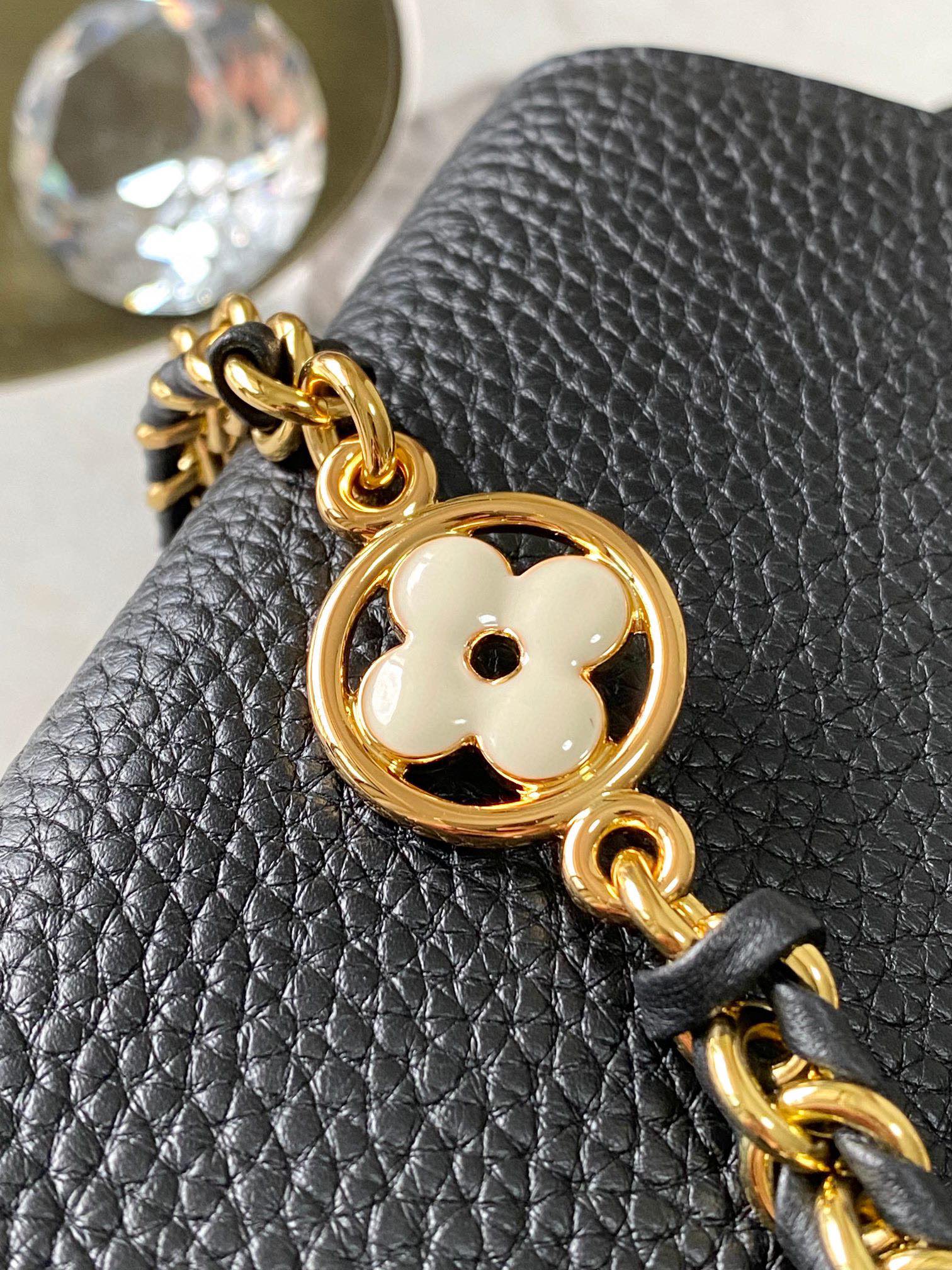 LV Bag