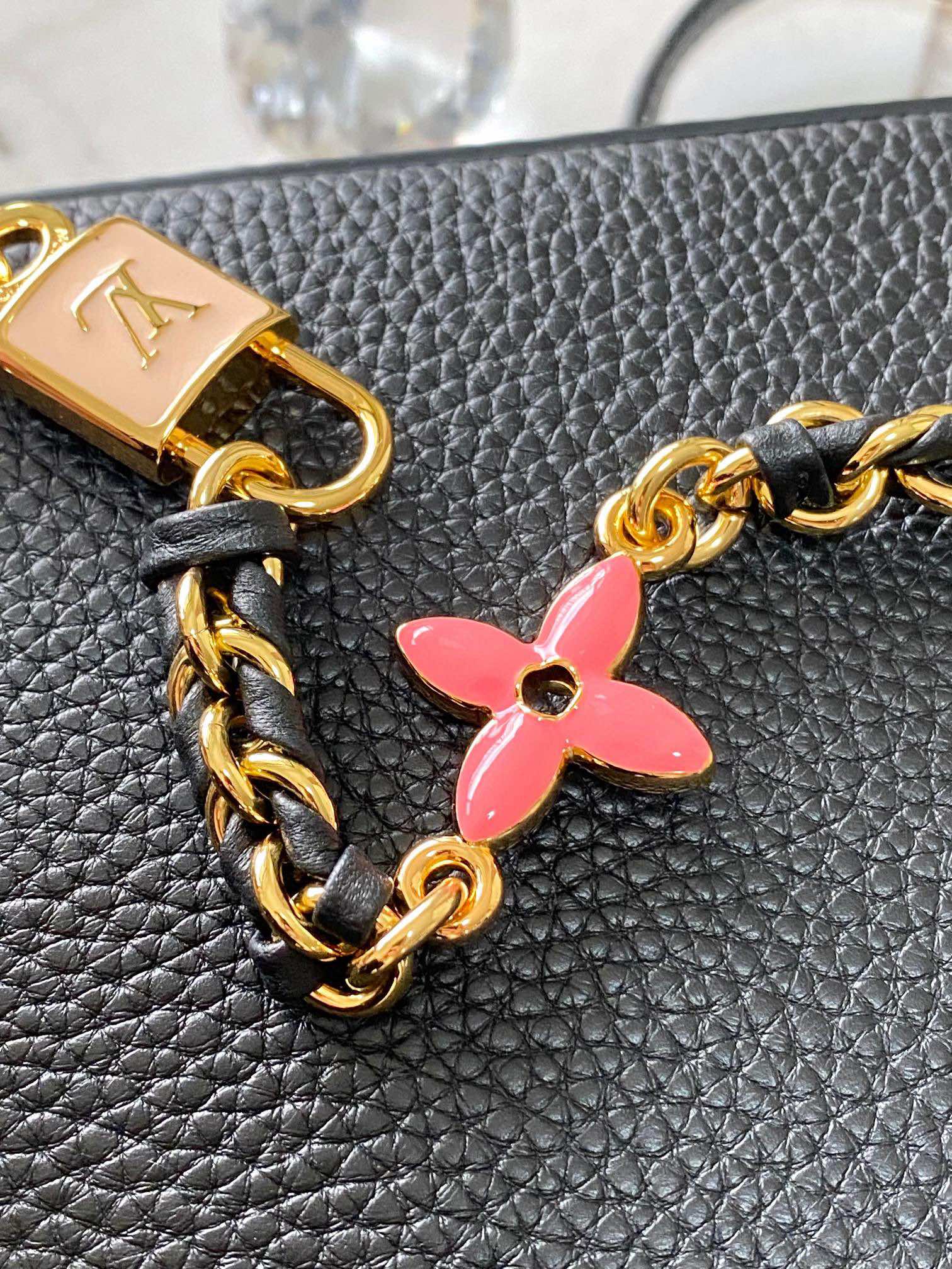 LV Bag
