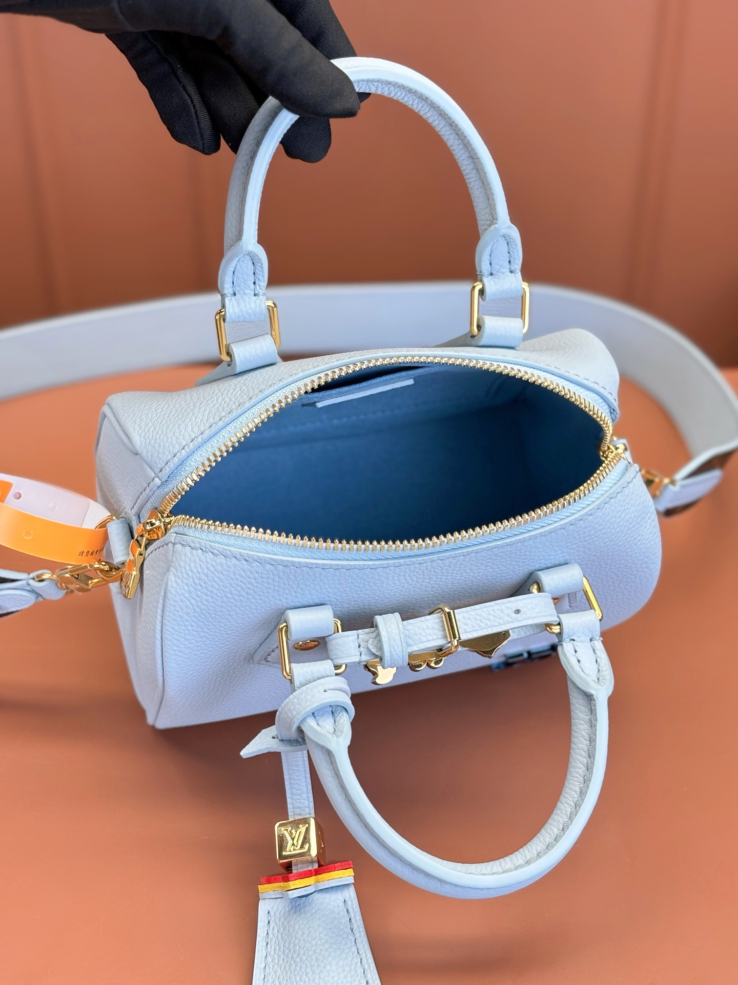 LV Bag