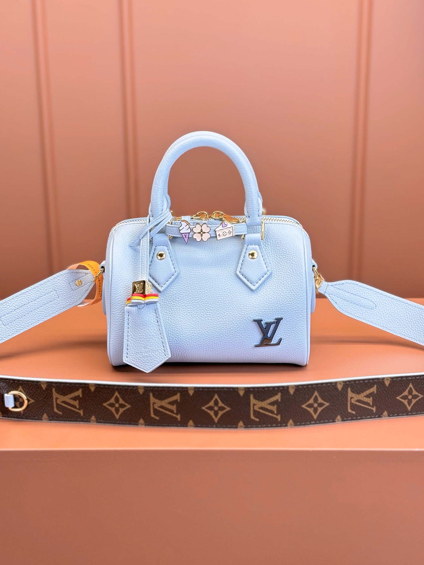 LV Bag