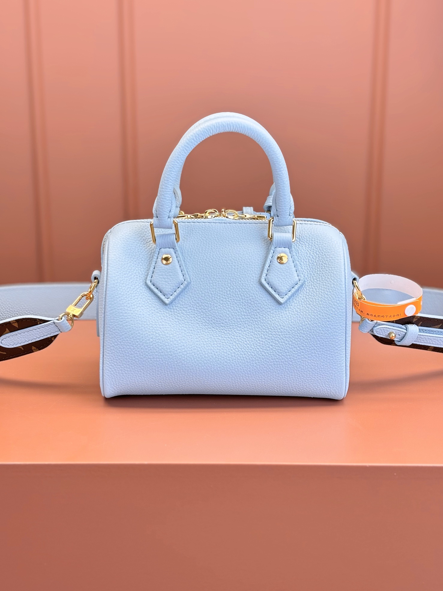 LV Bag