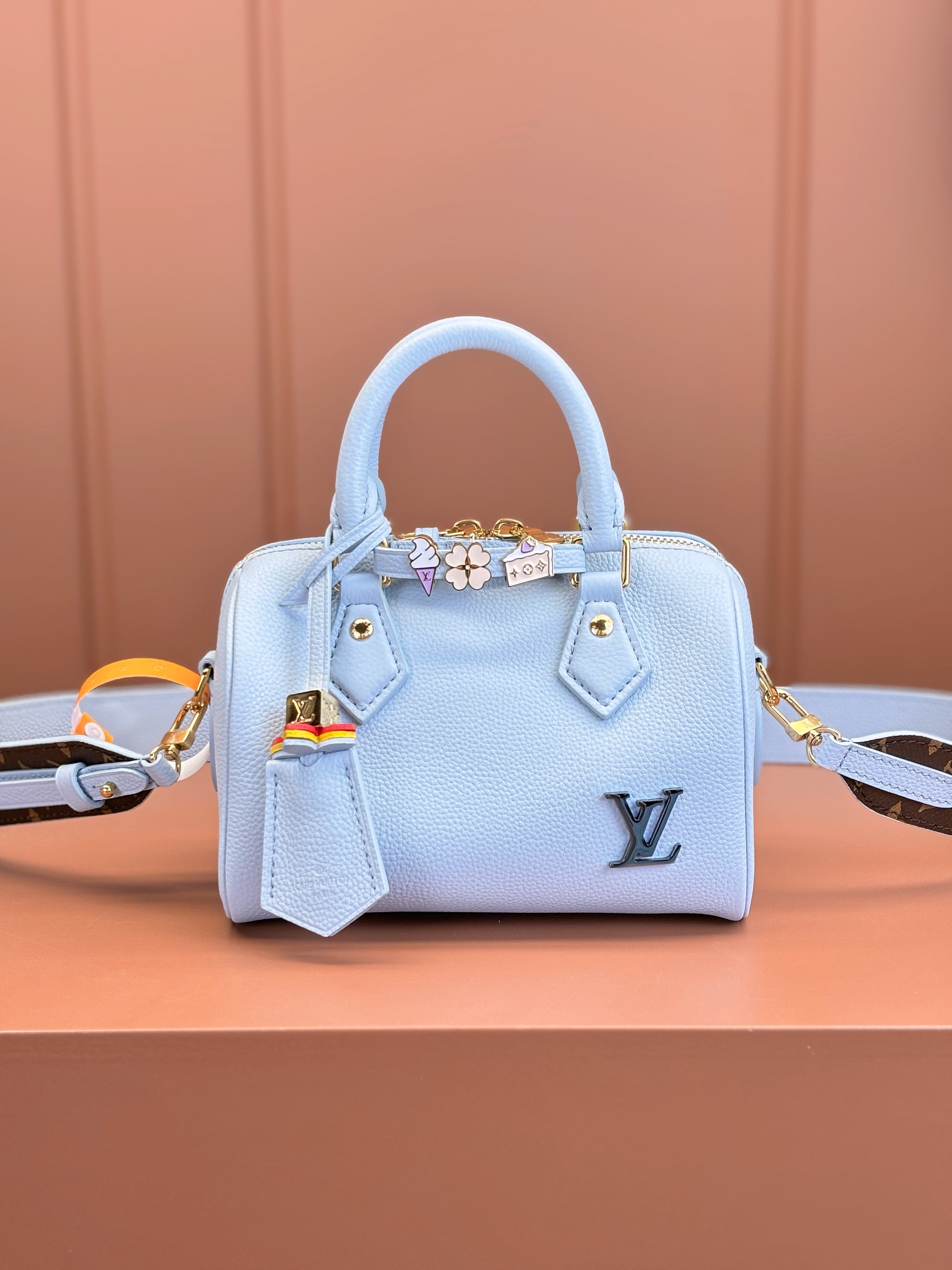 LV Bag