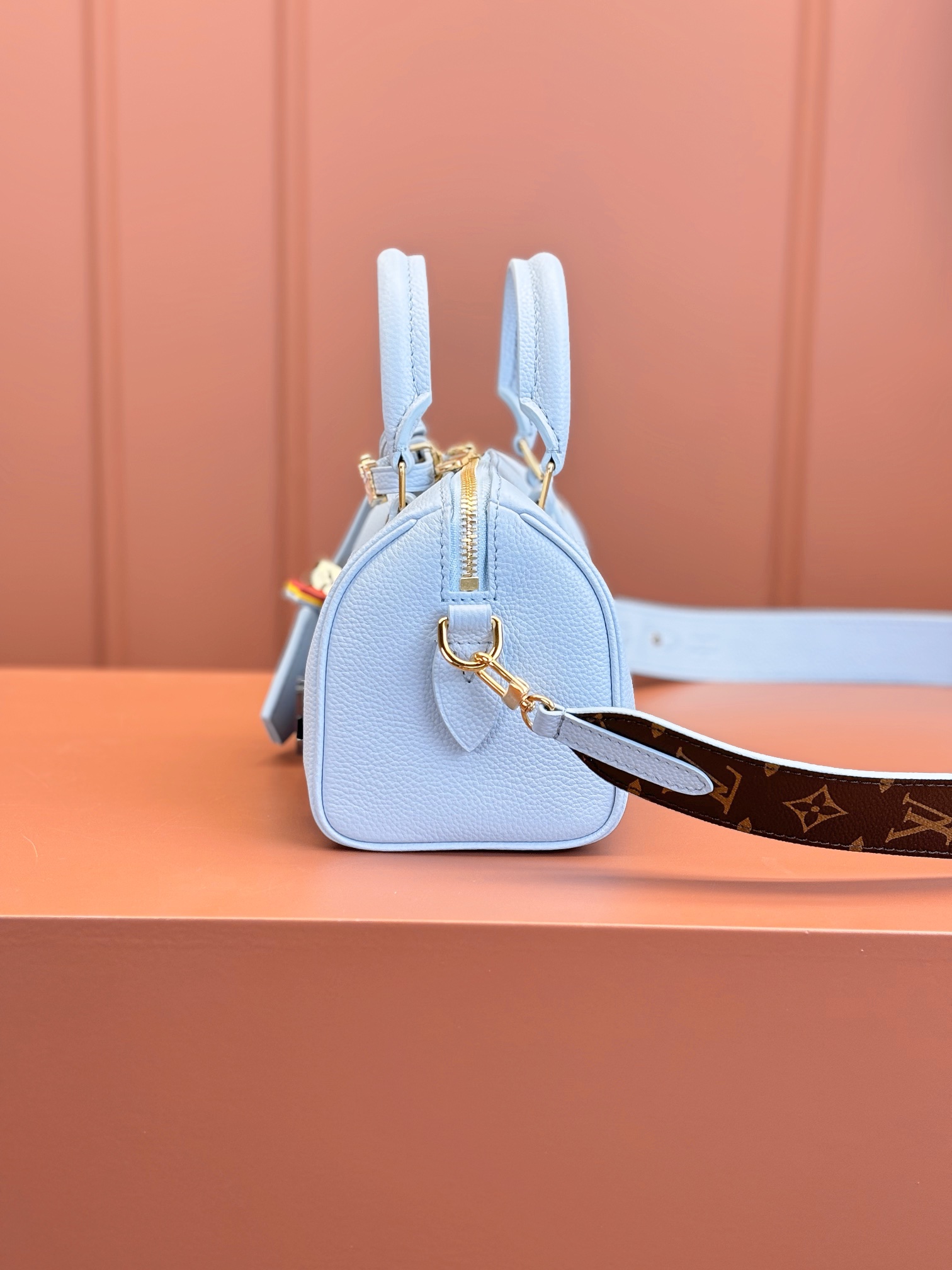 LV Bag