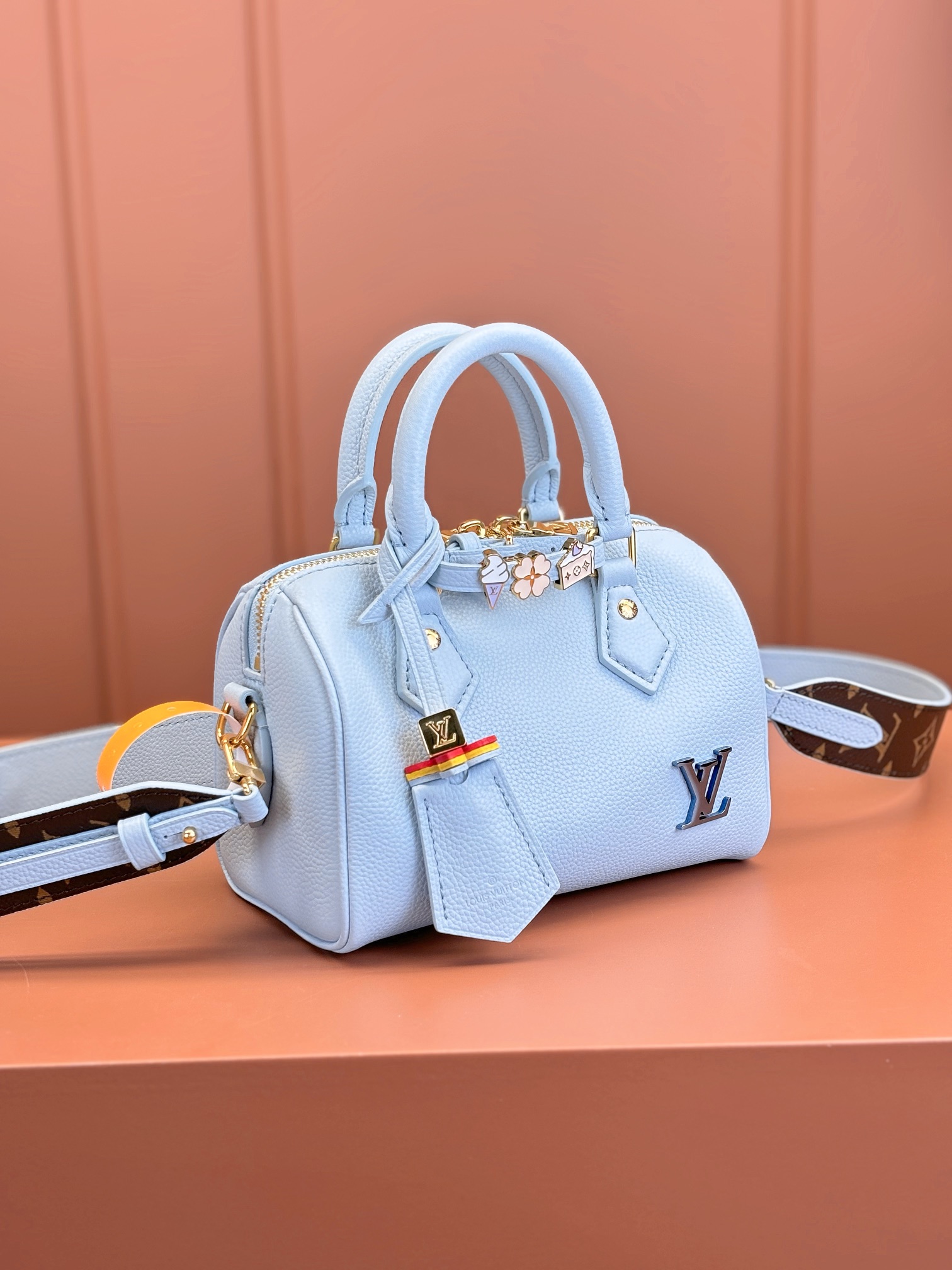 LV Bag