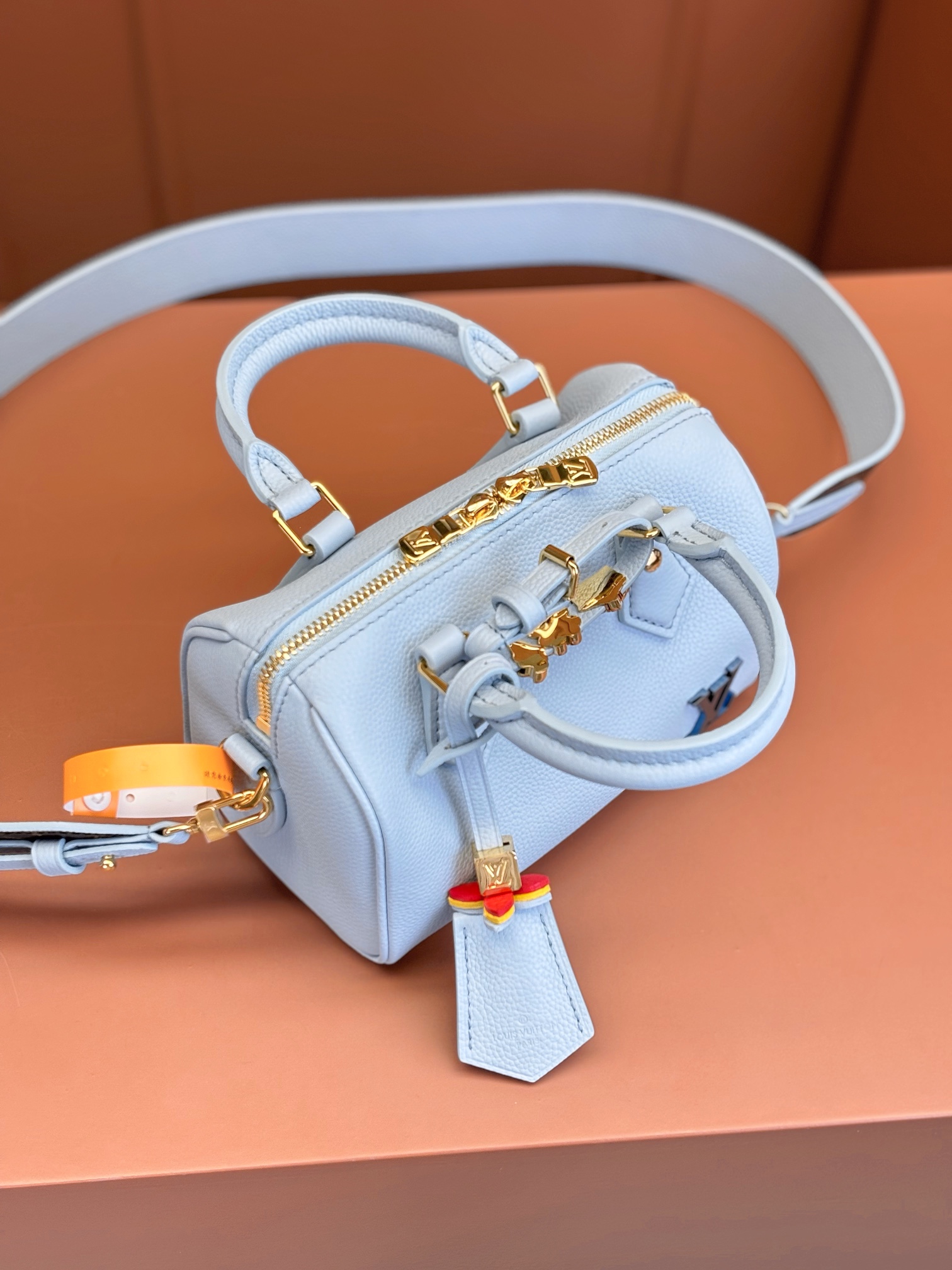 LV Bag