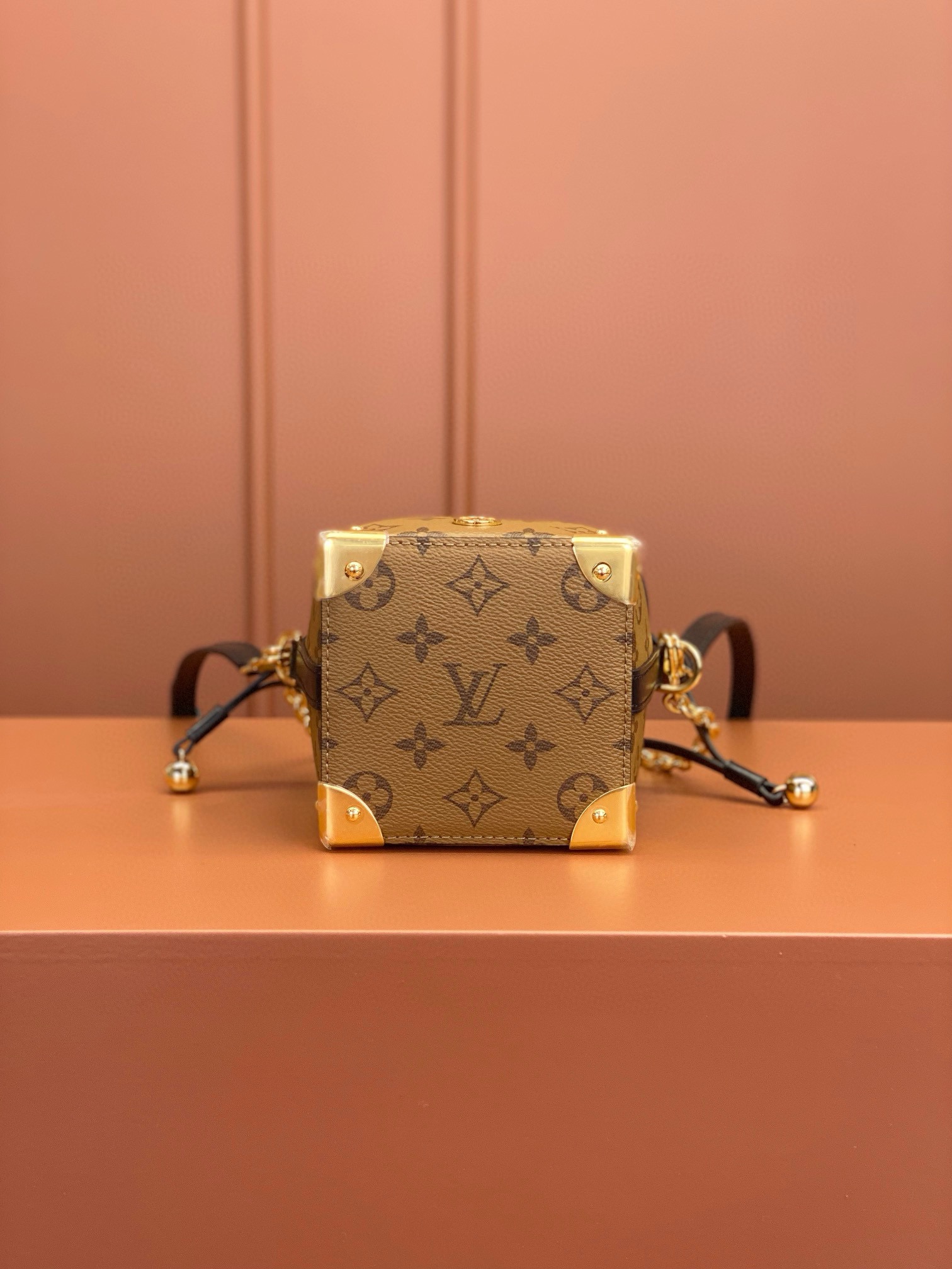 LV Bag