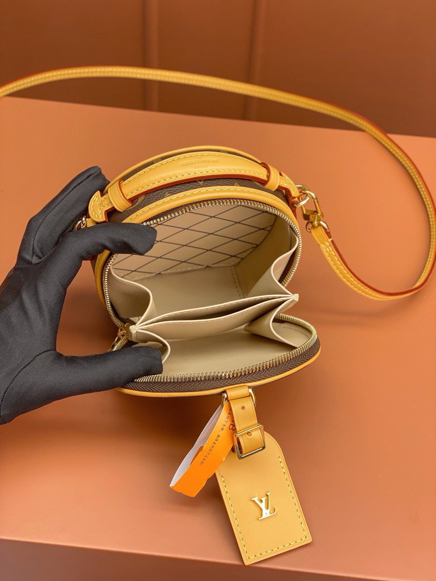 LV Bag