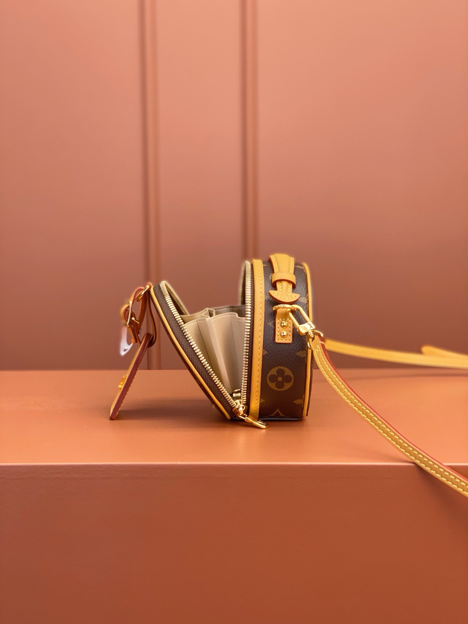 LV Bag