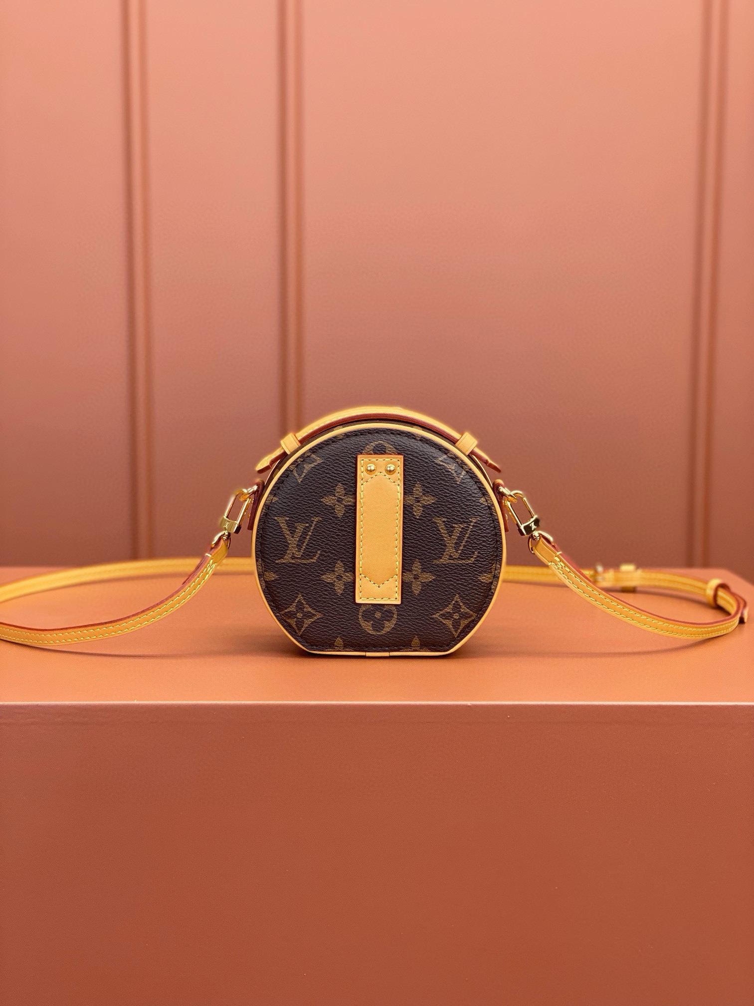 LV Bag