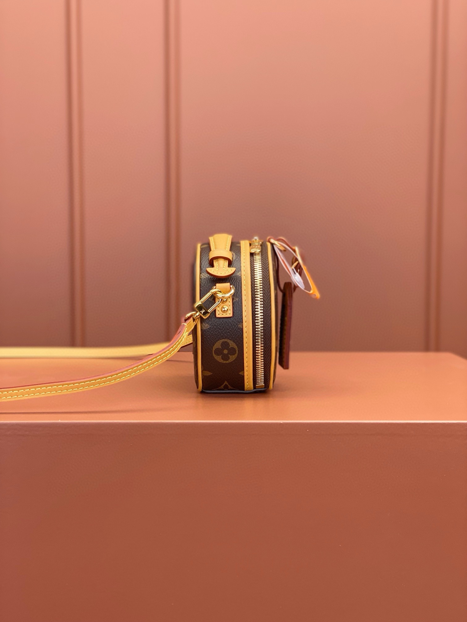 LV Bag