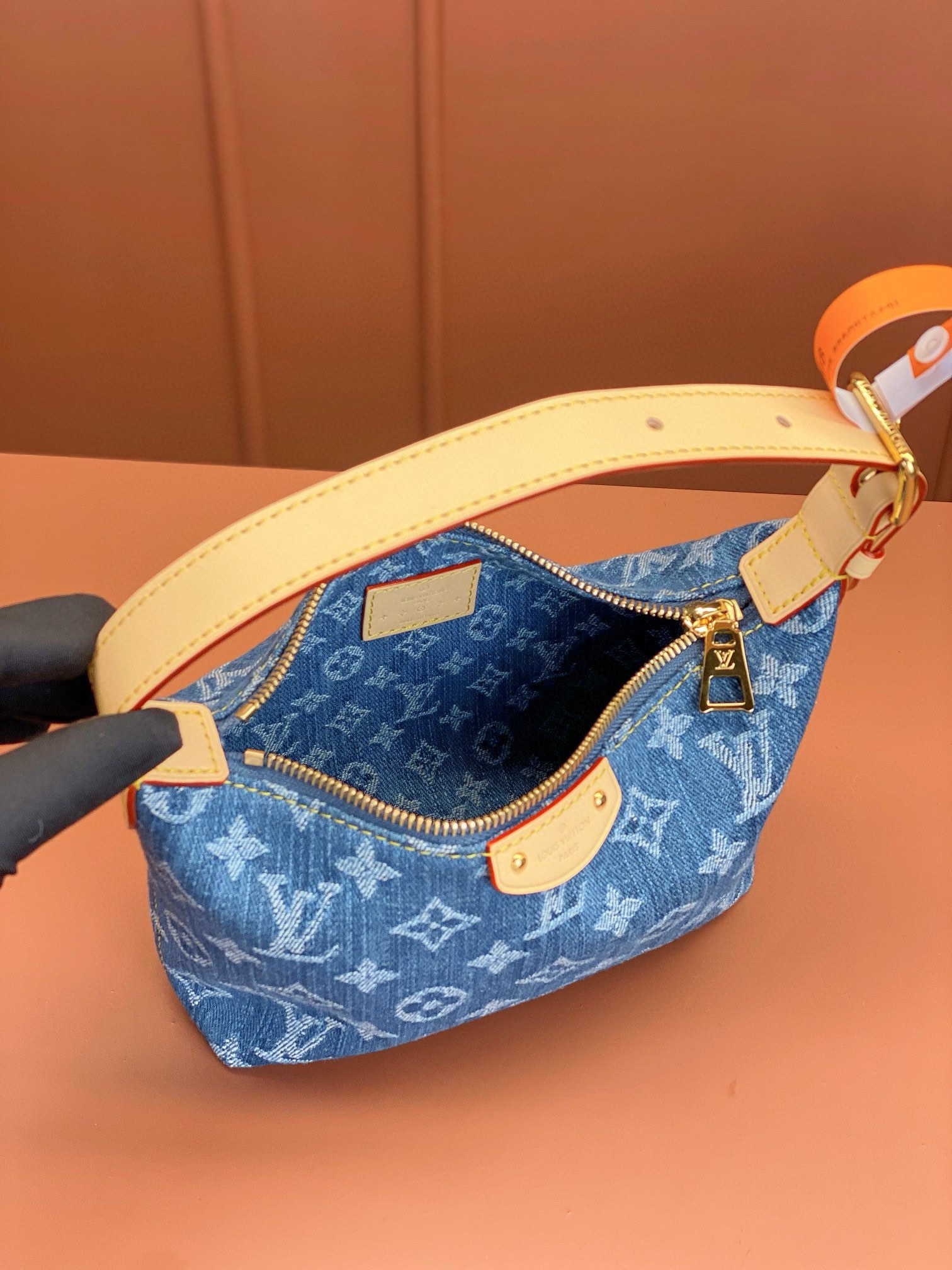 LV Bag