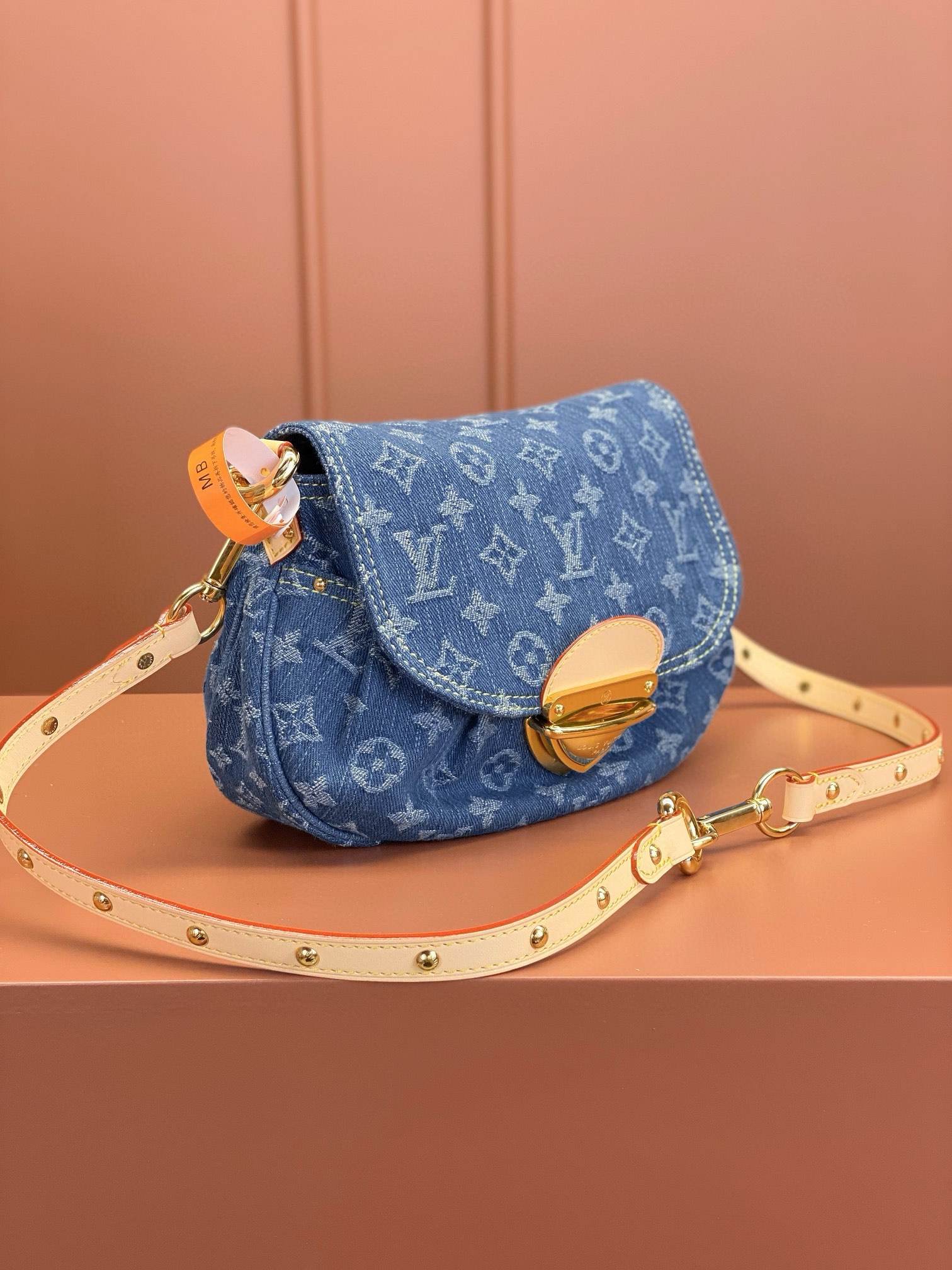 LV Bag