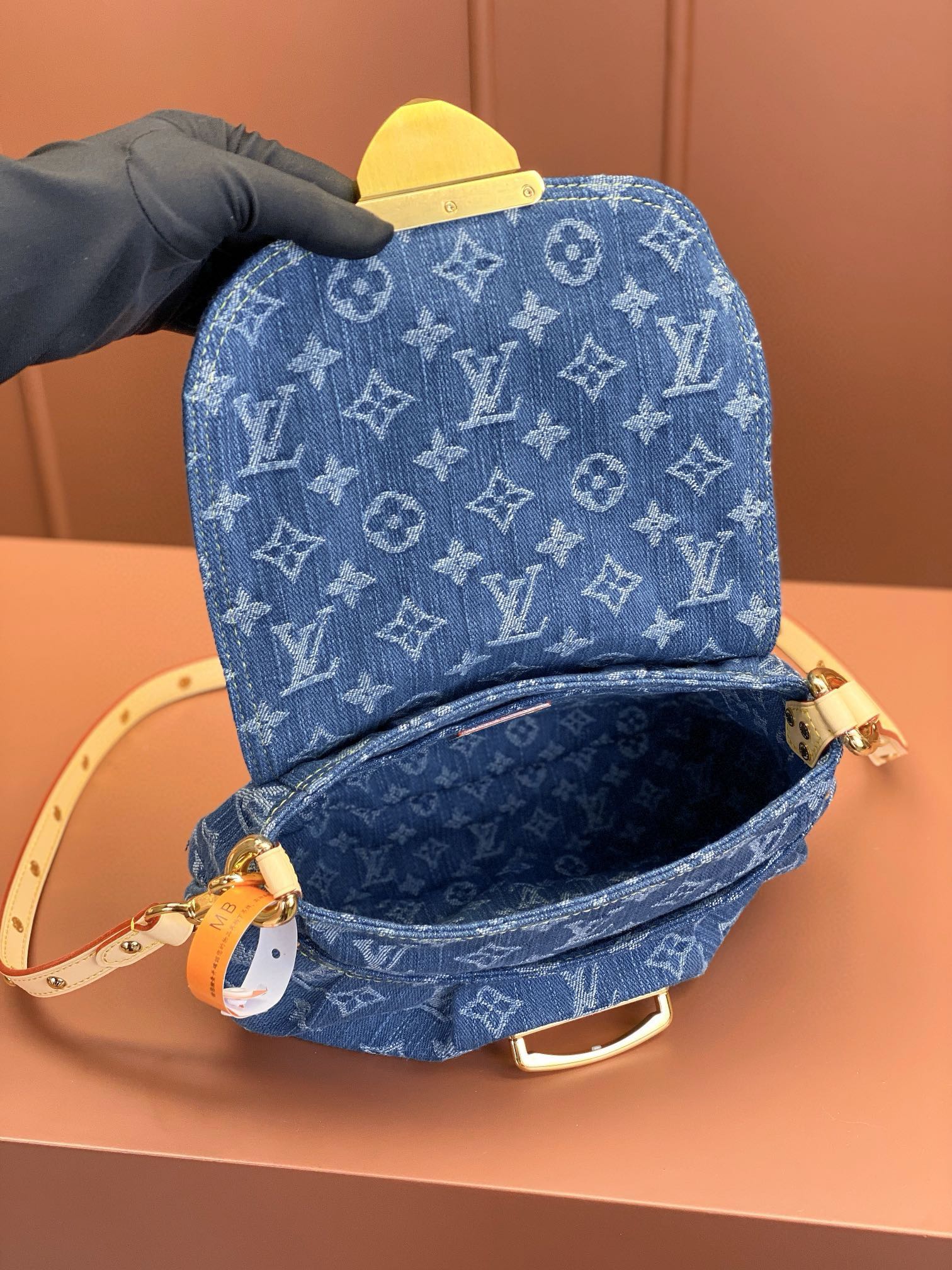 LV Bag