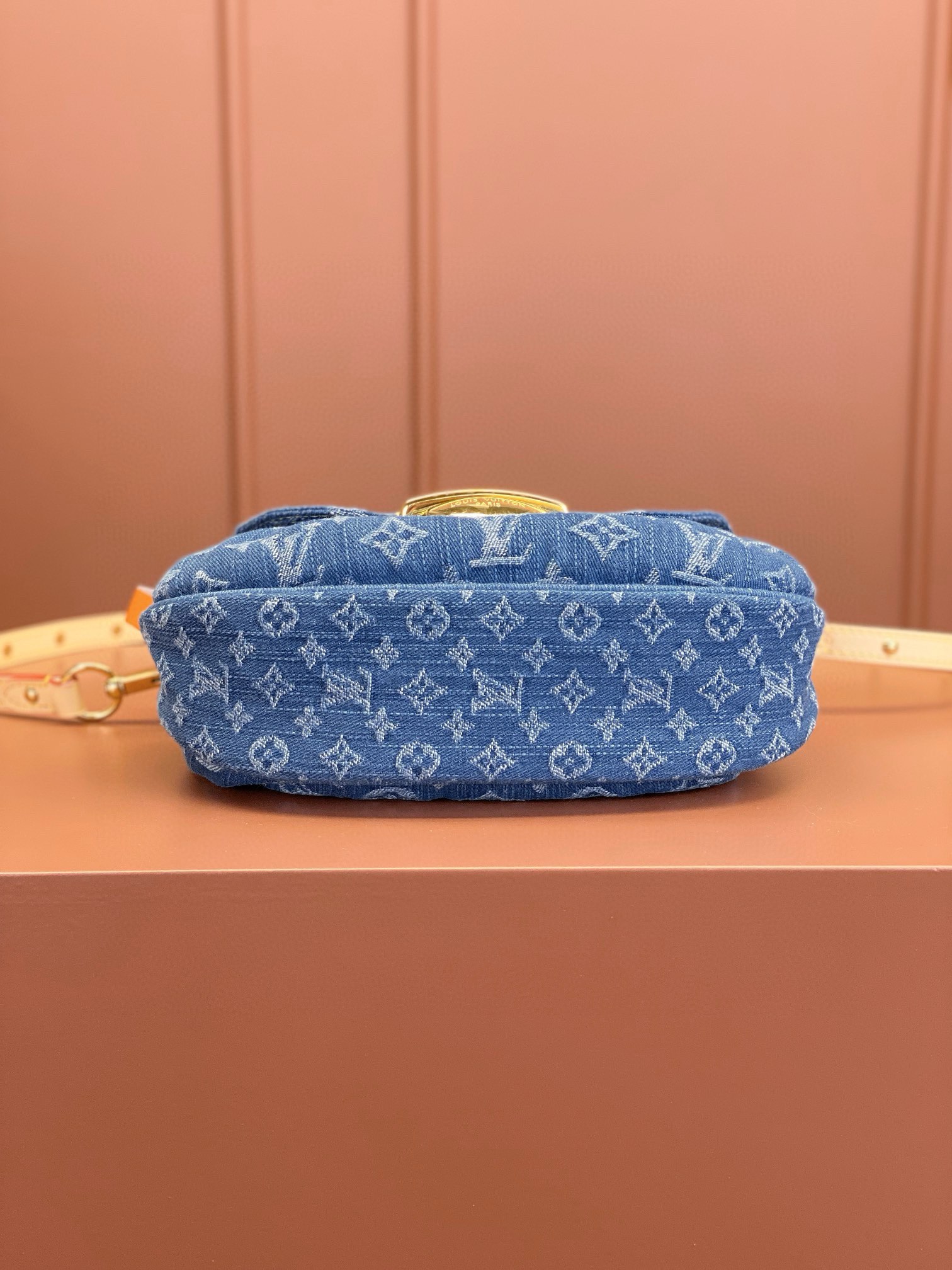 LV Bag