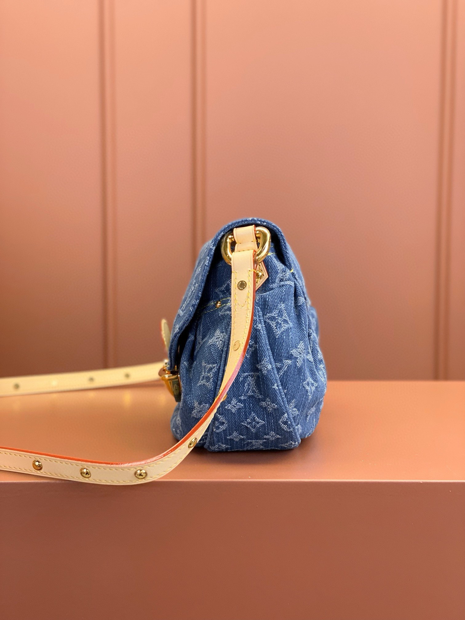 LV Bag