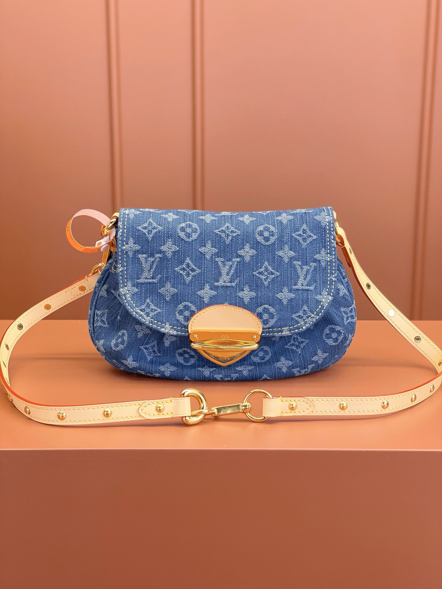 LV Bag