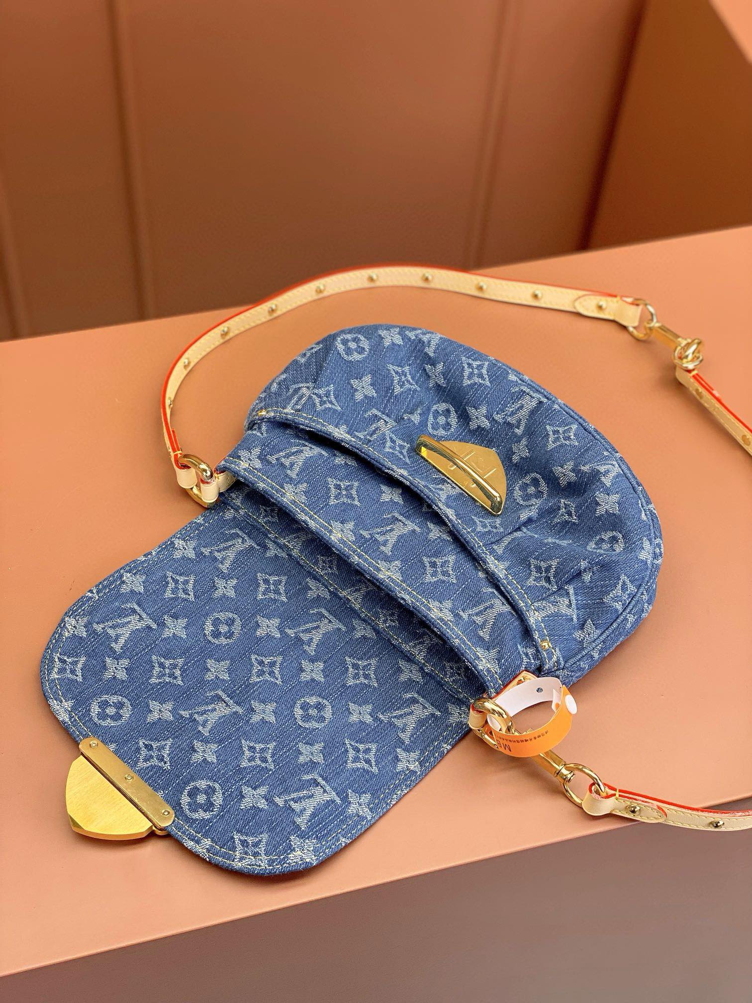 LV Bag