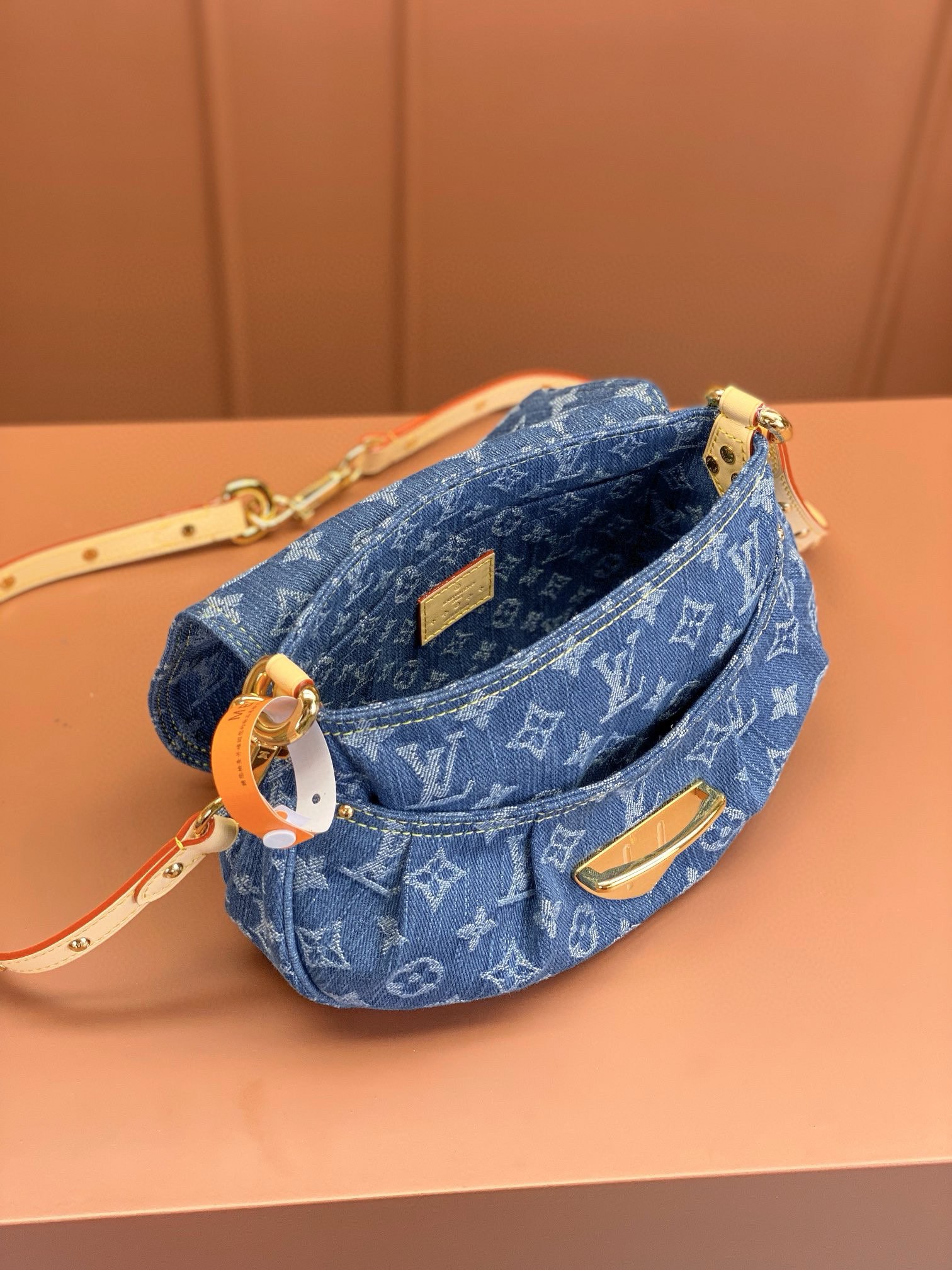 LV Bag