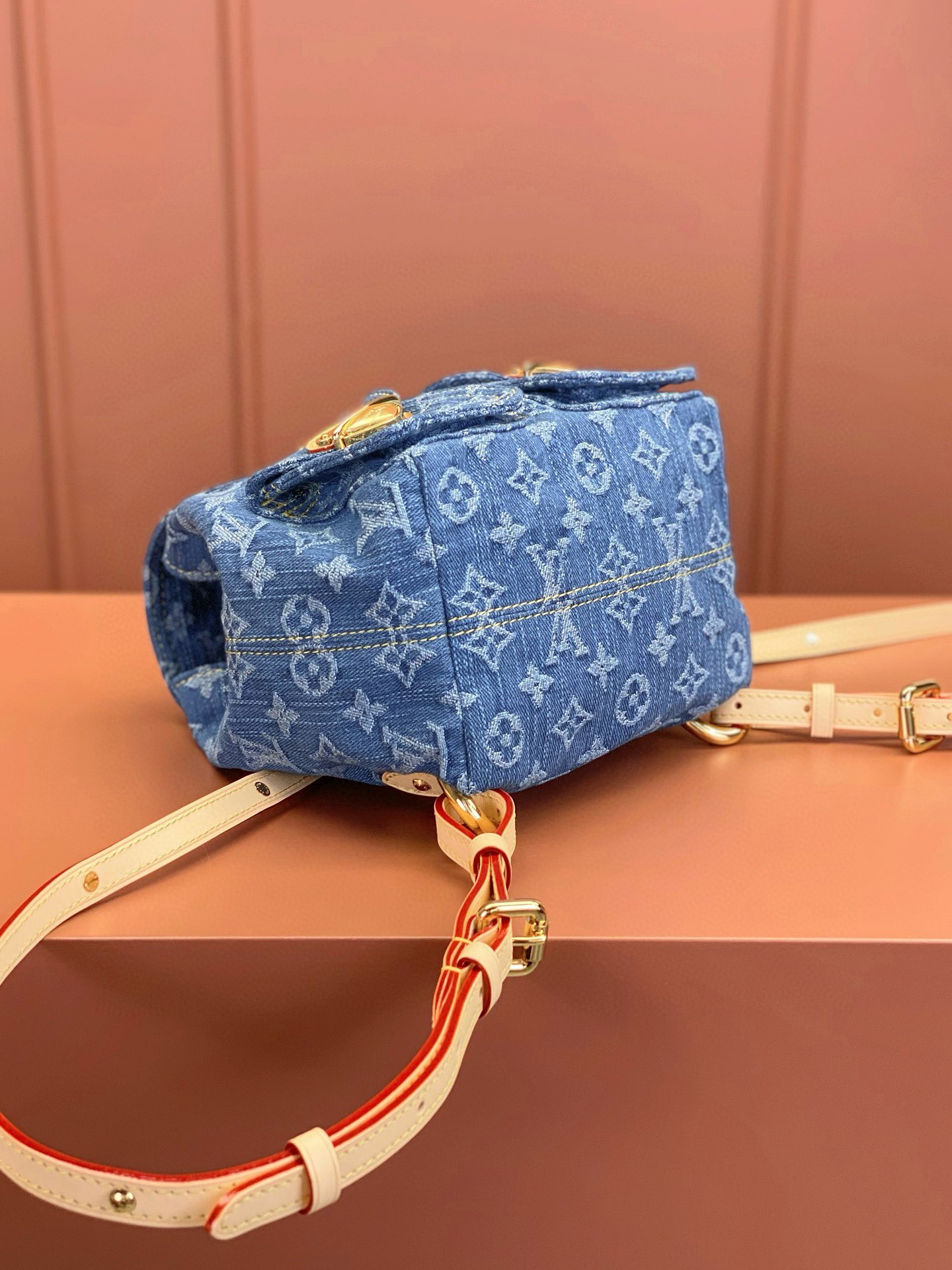 LV Bag