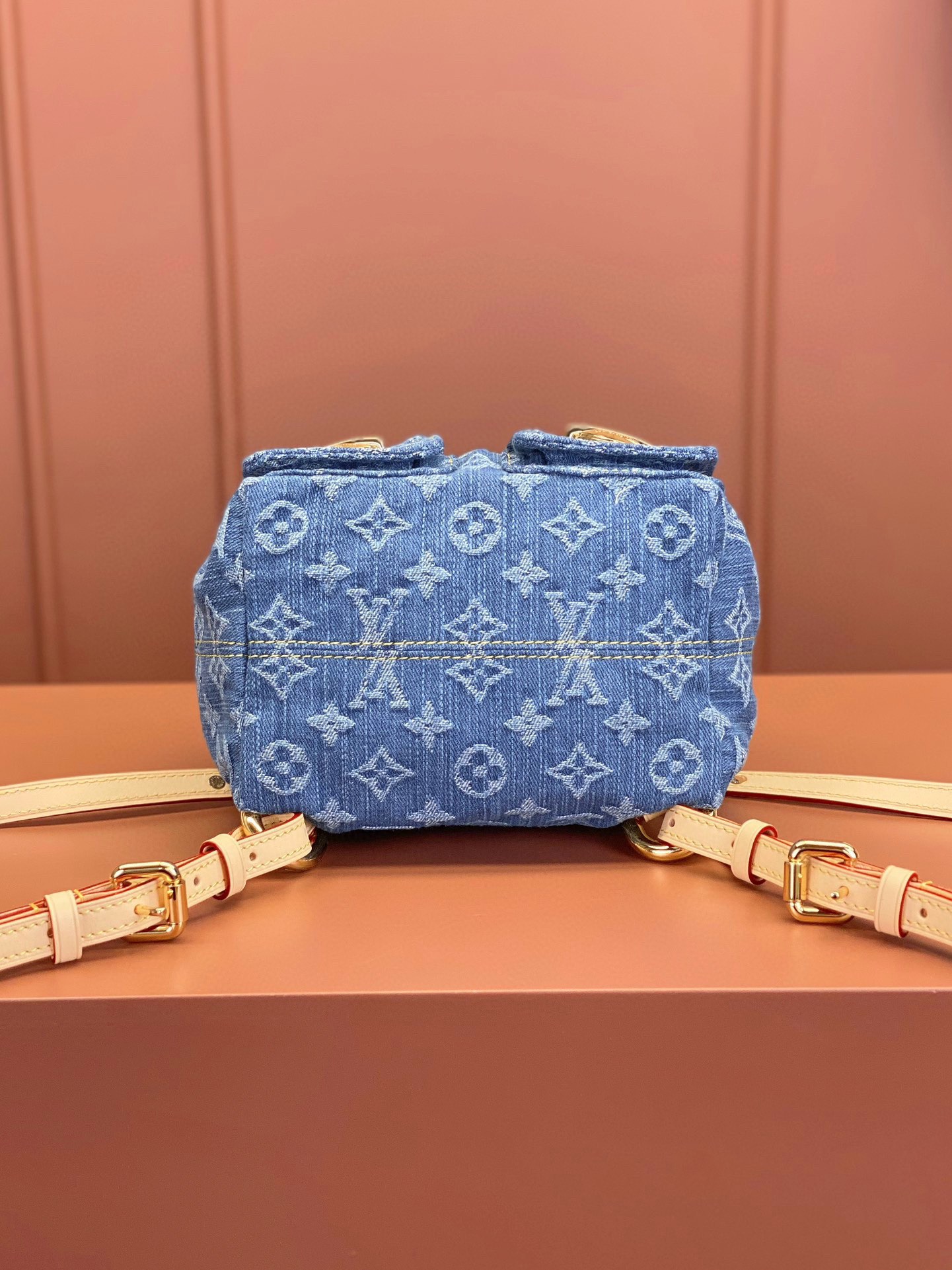 LV Bag