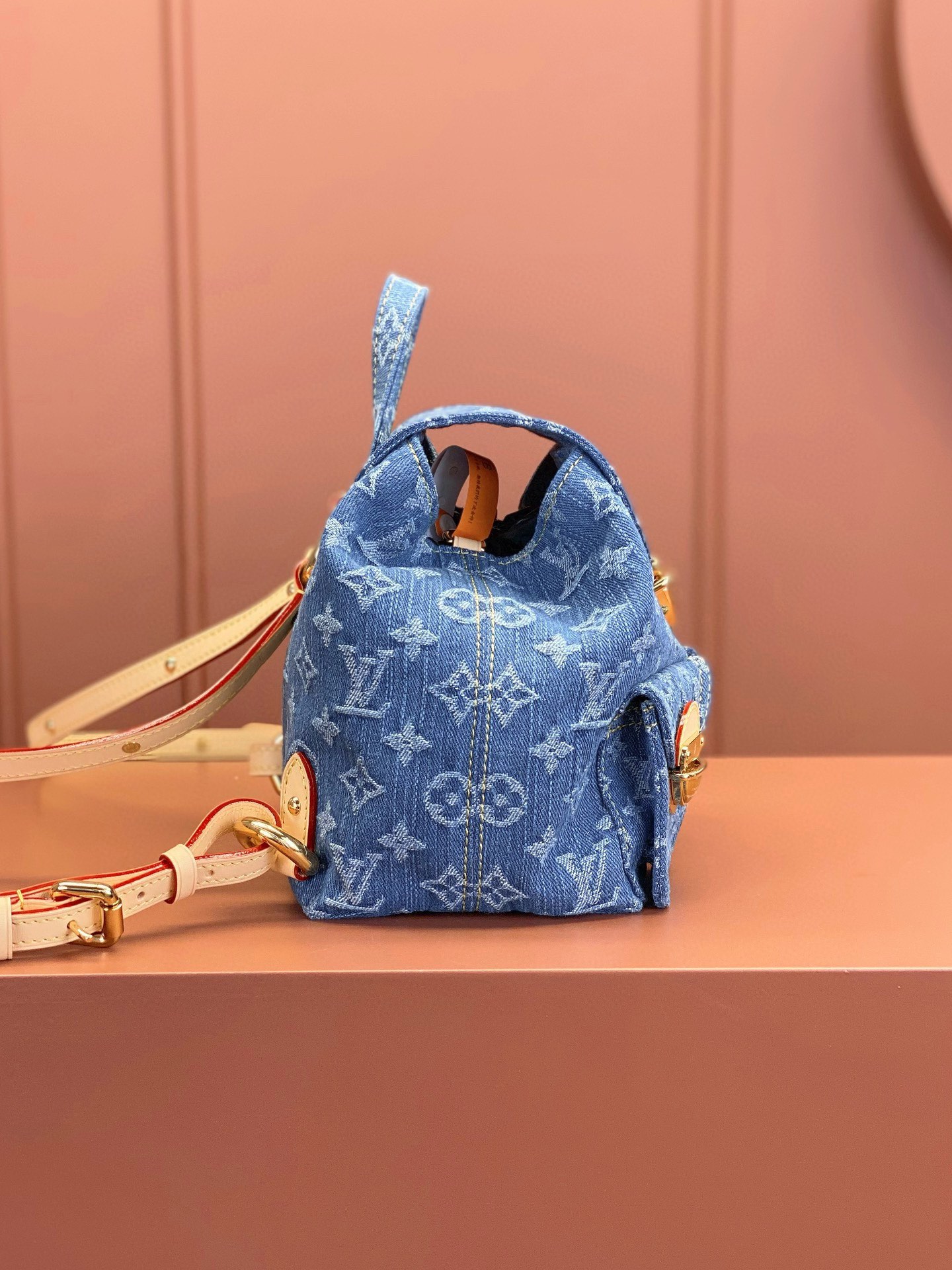 LV Bag