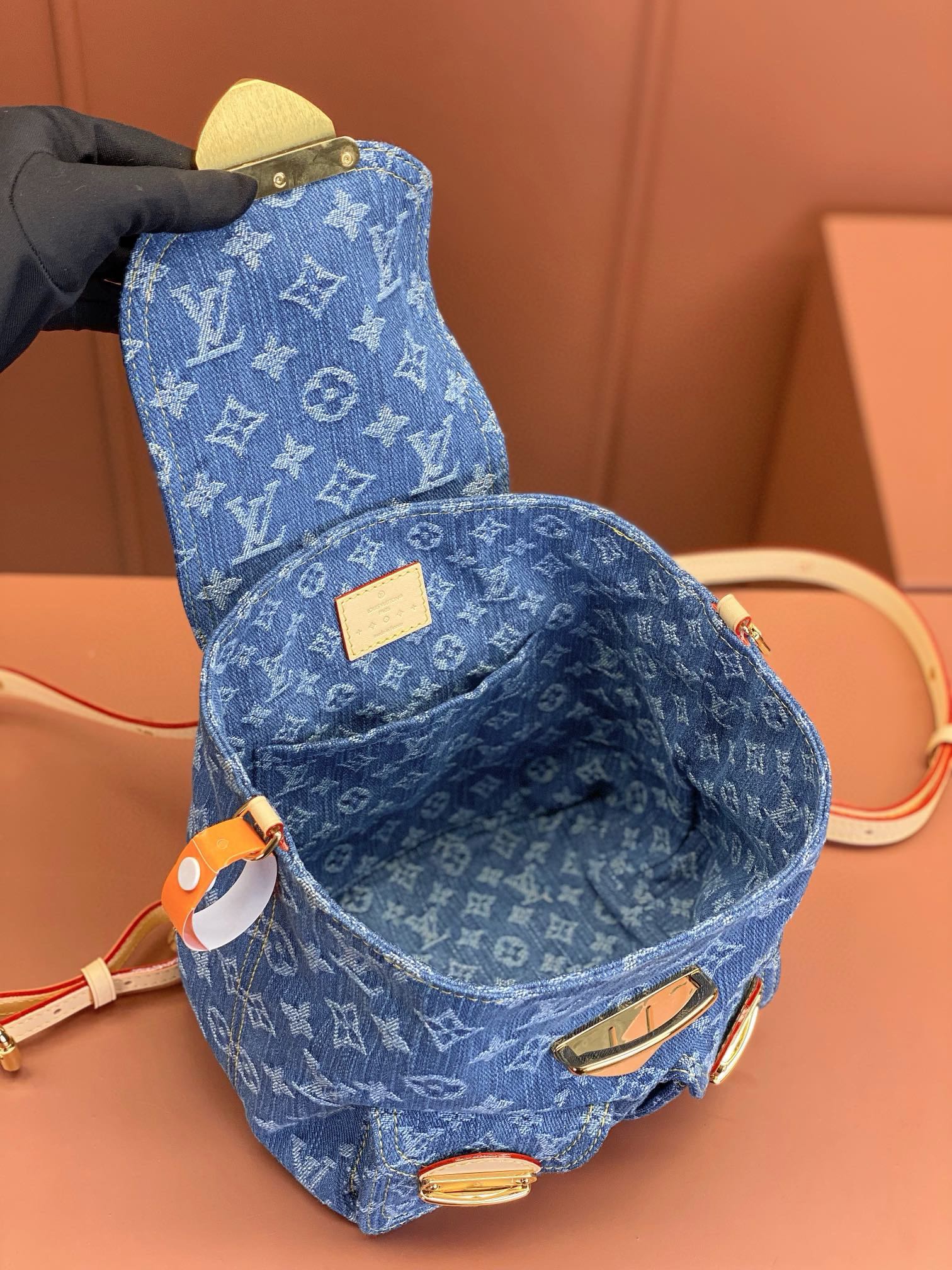 LV Bag