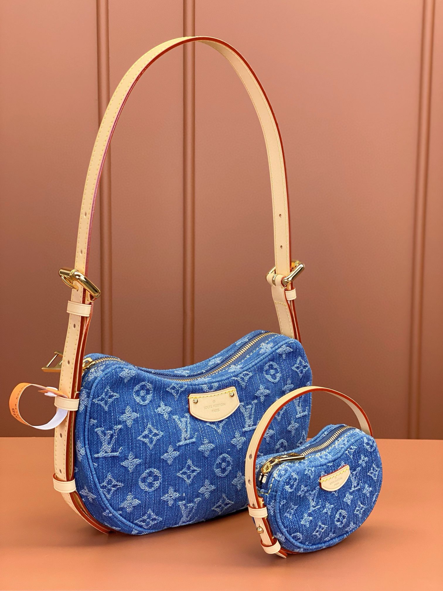 LV Bag